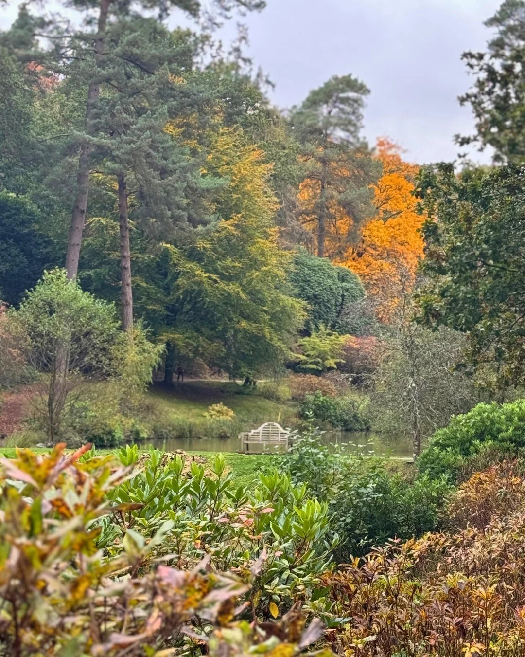 As we move further into the autumn season, our gardens will be shifting to off-peak opening times as of 27 October.
🕘 Opening Hours: 9:00am – 4:00pm
⏳ Last Entry: 3:30pm
We look forward to welcoming you for peaceful walks, fresh air, and the