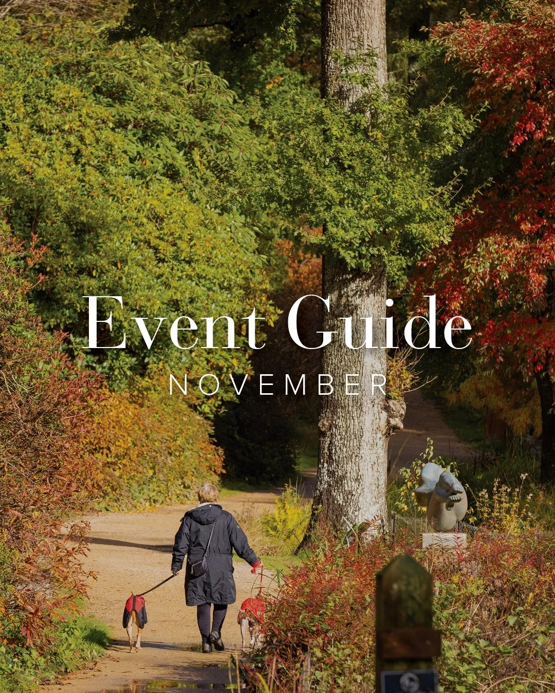 From creative workshops to immersive classes, this November is filled with fun and inspiring experiences at Leonardslee. 
Be at one with nature and embrace the calm by joining in with Forest Bathing, learn to knit with your arms and go home with an