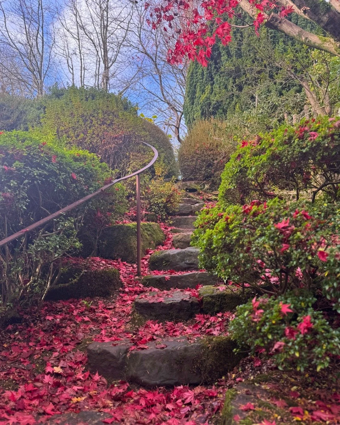 Late autumnal hues captured inside the Rock Garden over the past week... whilst we always wish the colour would last longer on the trees, the carpets they create when they fall are still so beautiful aren&rsquo;t they? 

#AutumnLeaves #LateAutumn #Au