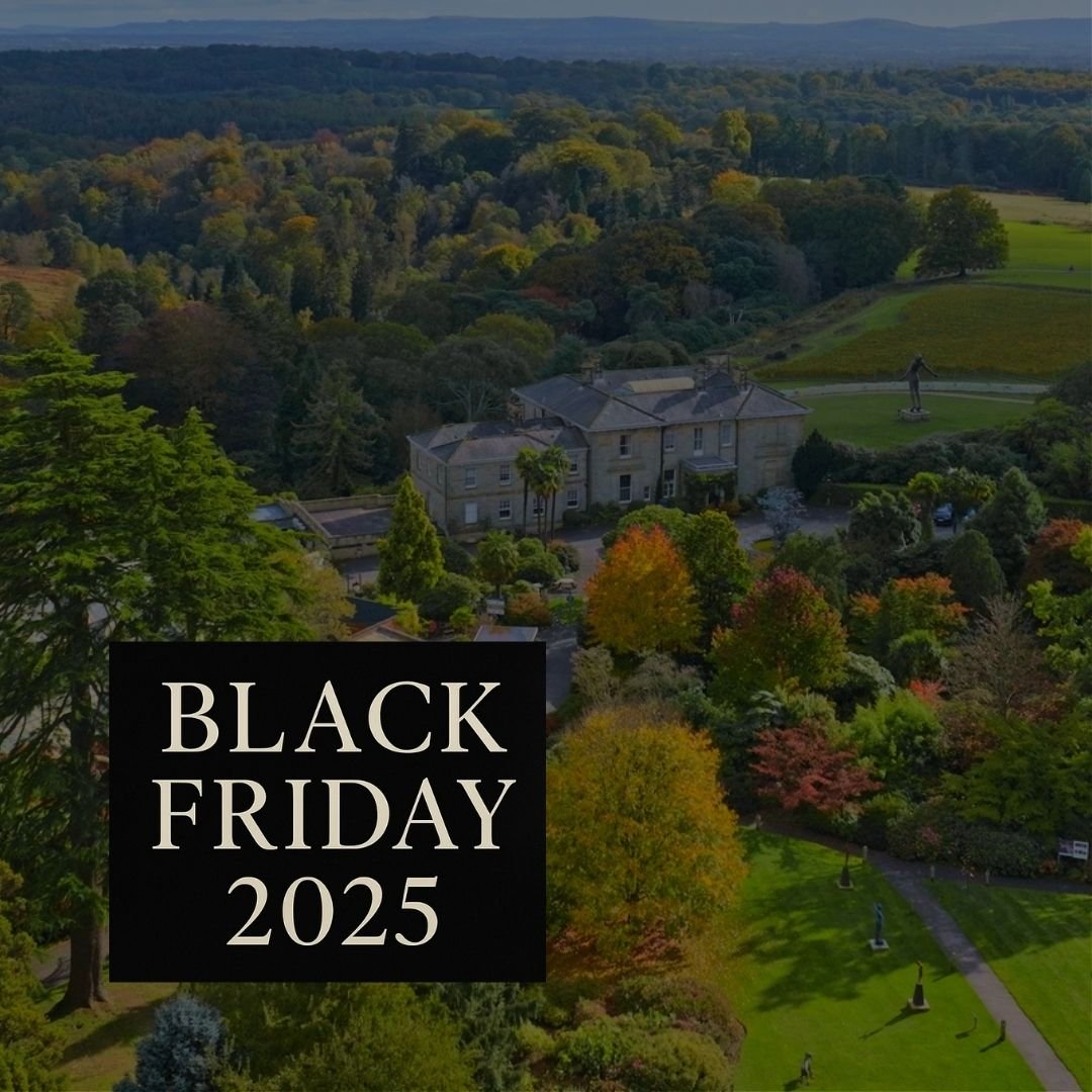 Black Friday at Leonardslee 