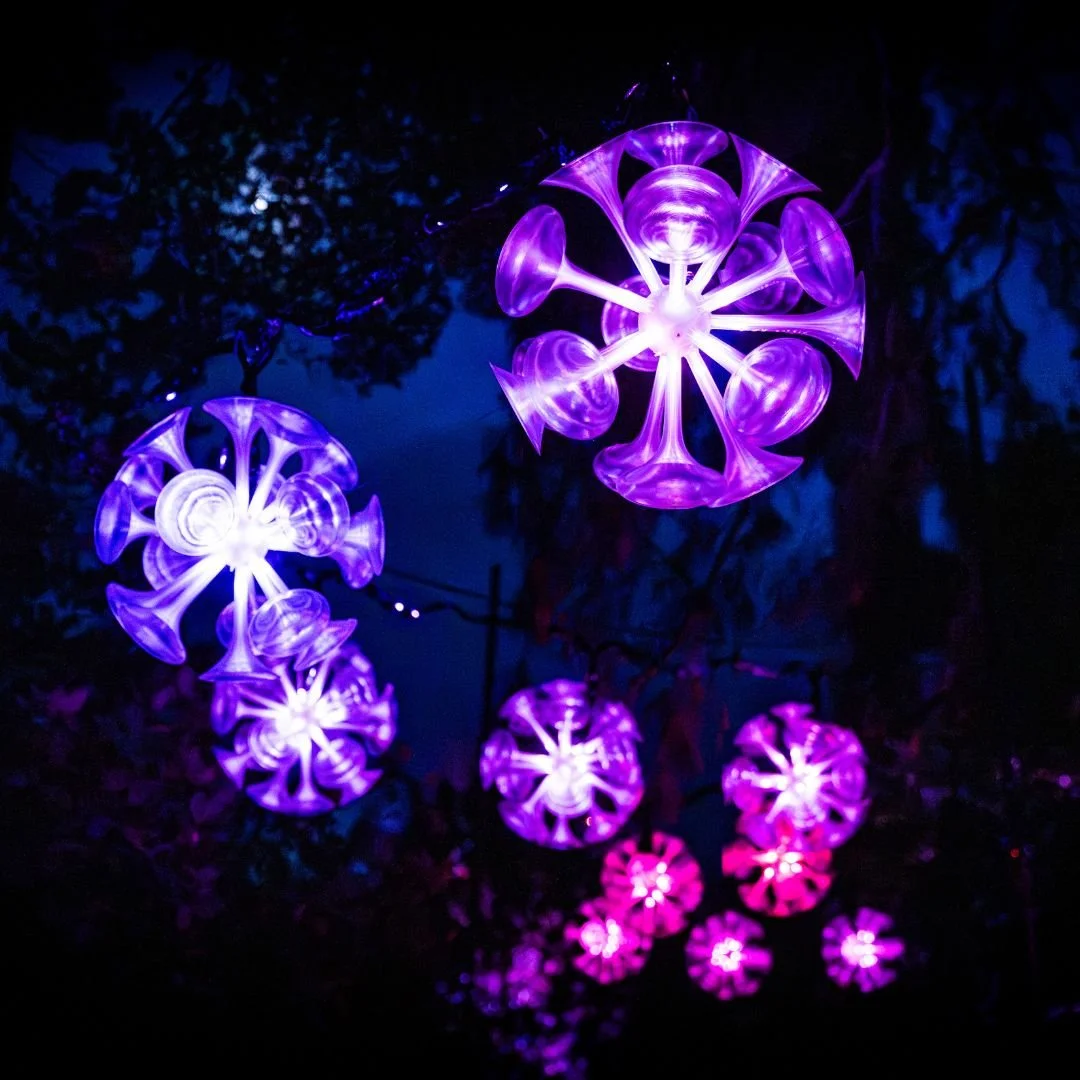 Leonardslee Lights Horsham winter lights (26).jpg