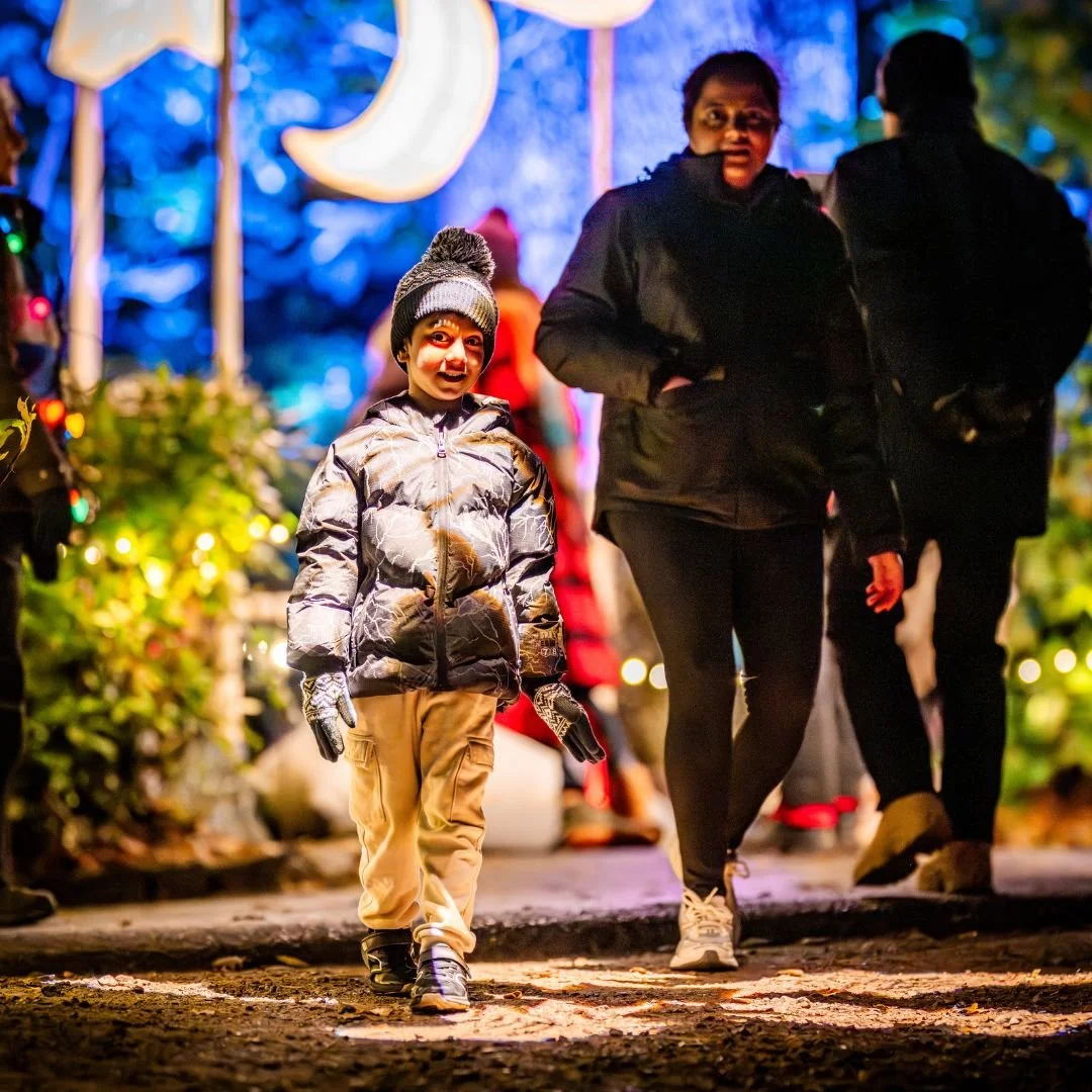 Leonardslee Lights Horsham winter lights (5).jpg