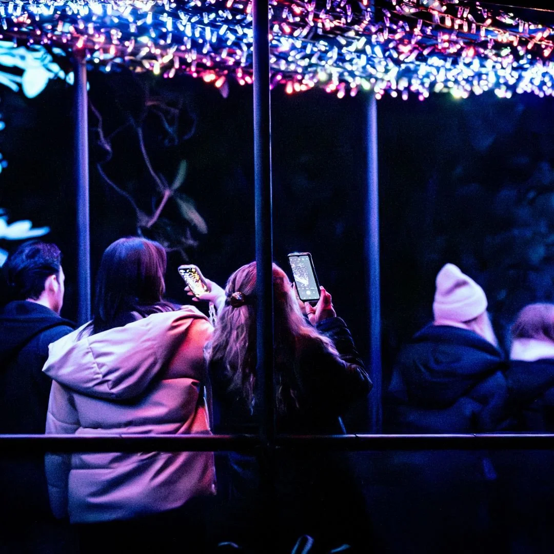 Leonardslee Lights Horsham winter lights (7).jpg