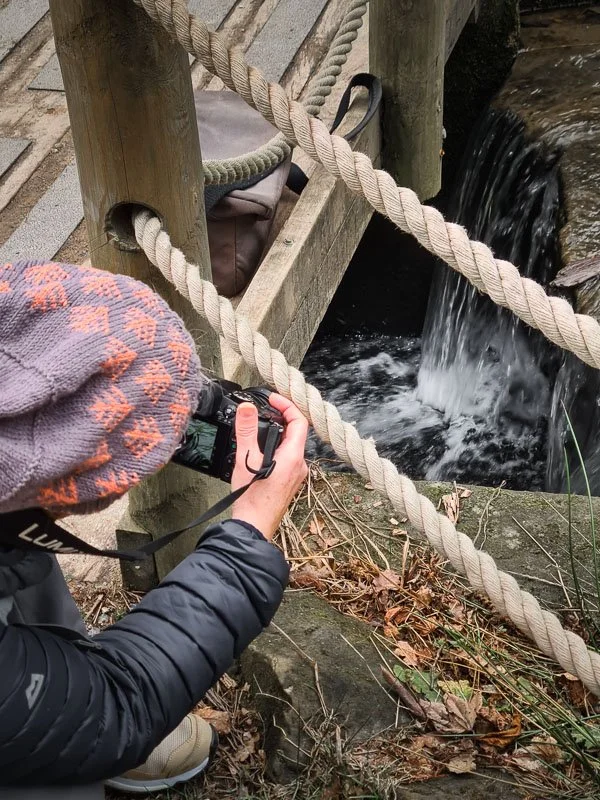 Photography for Beginners at Leonardslee Gardens  (3).jpg