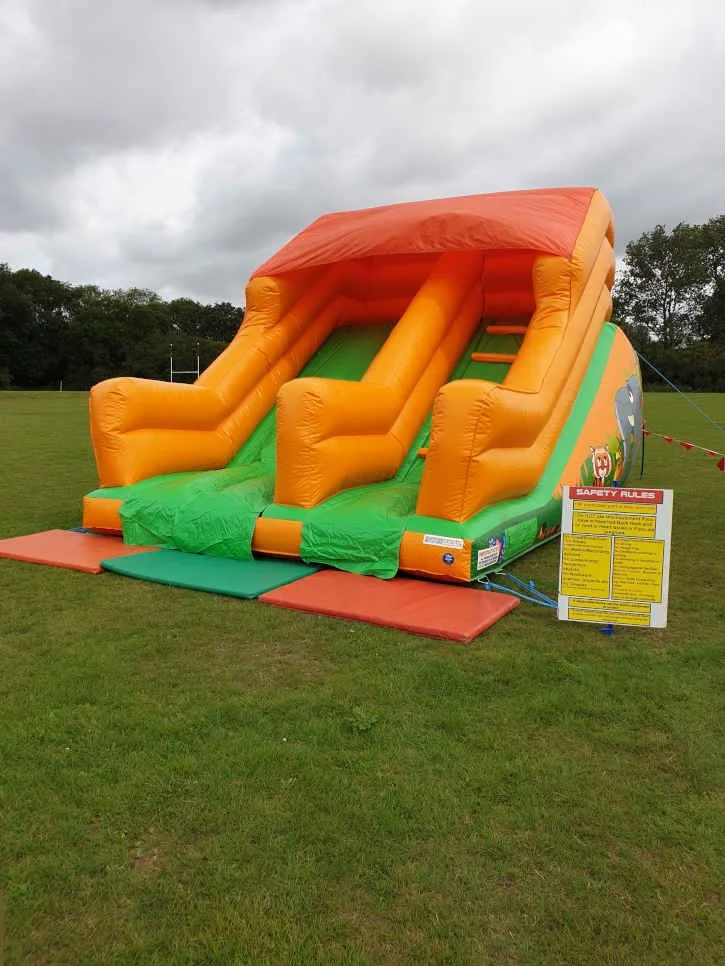 Jungle Mini Slide (2).jpg