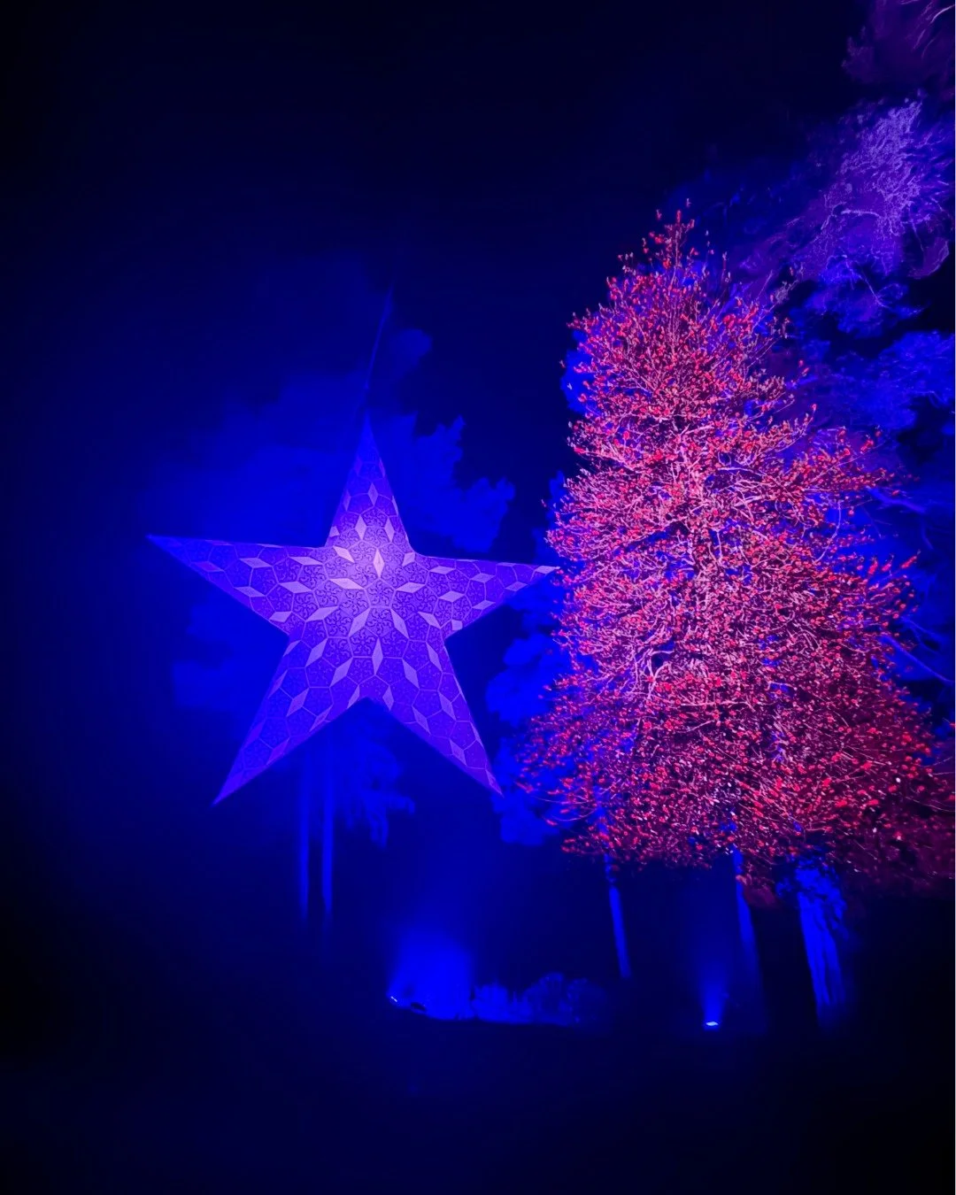 As darkness settles all around, our ancient woodlands dance and our lakes come alive with beautiful reflections of light and colour.

Night transforms Leonardslee into something truly magical. ✨

See the link on our profile for full event information