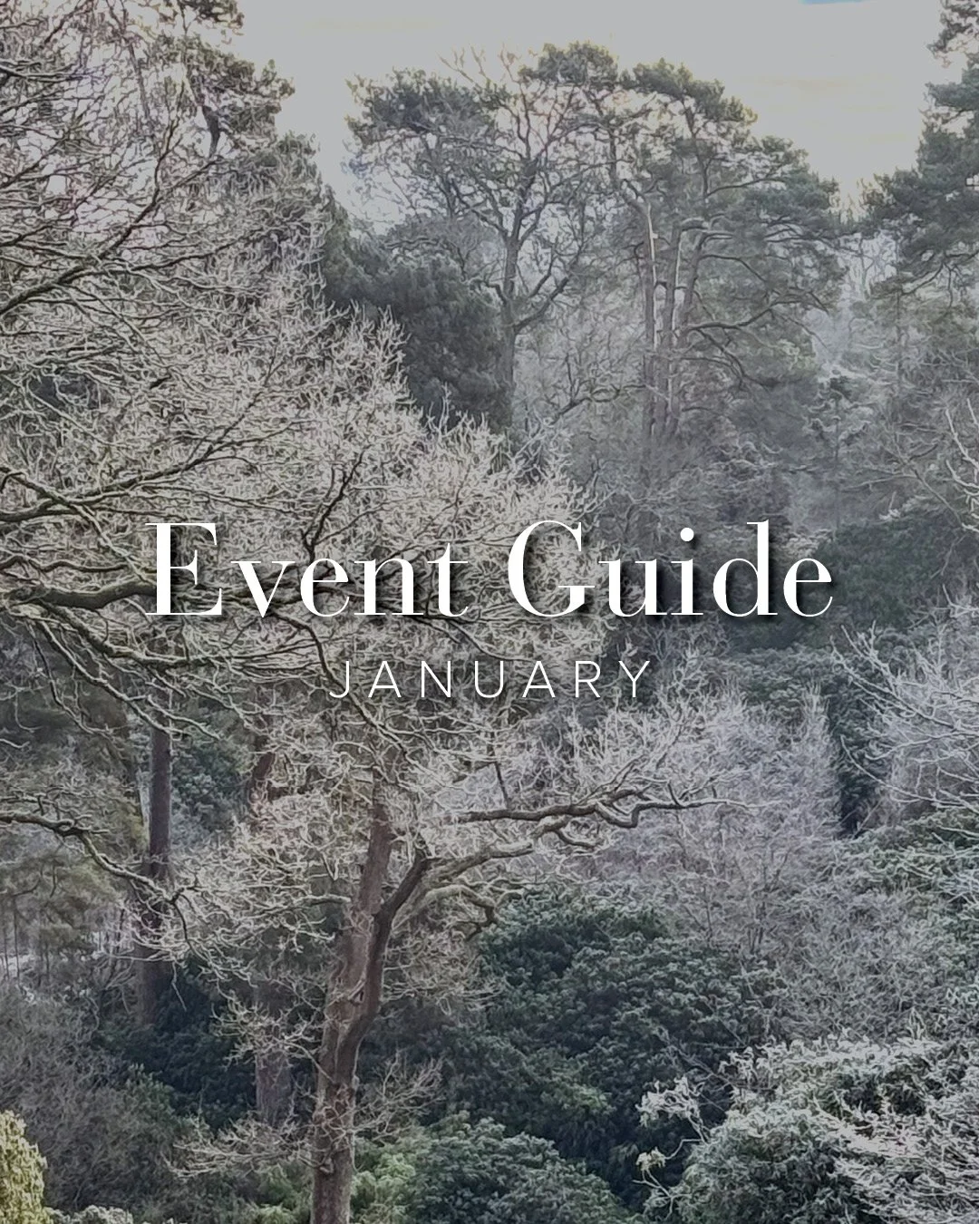 Start the new year surrounded by beauty, creativity, and inspiration.

January at Leonardslee is full of moments designed to lift the spirits and gently ease us into the year ahead. Our popular Leonardslee Comedy Night returns, bringing sharp wit and