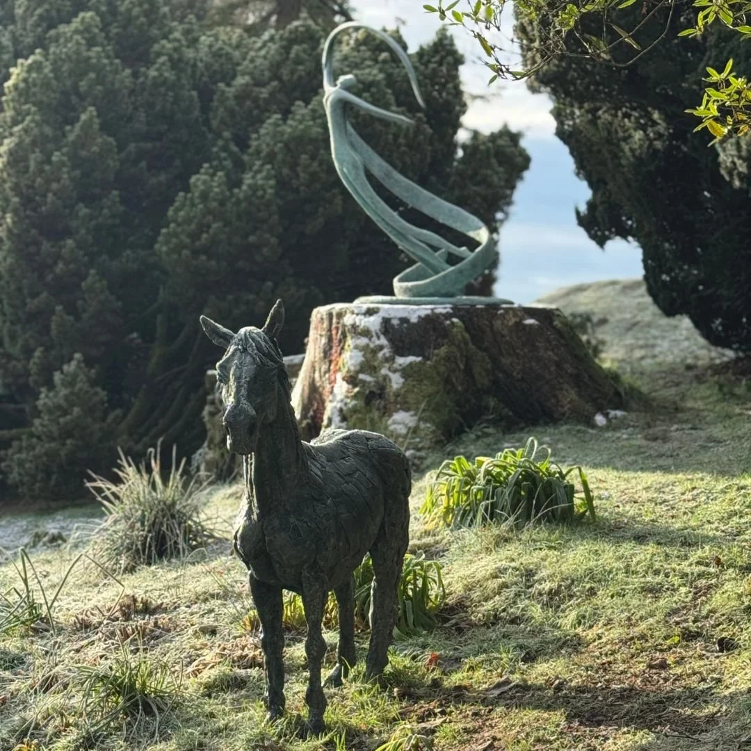 January Leonardslee Gardens Horsham Sussex (4).jpg