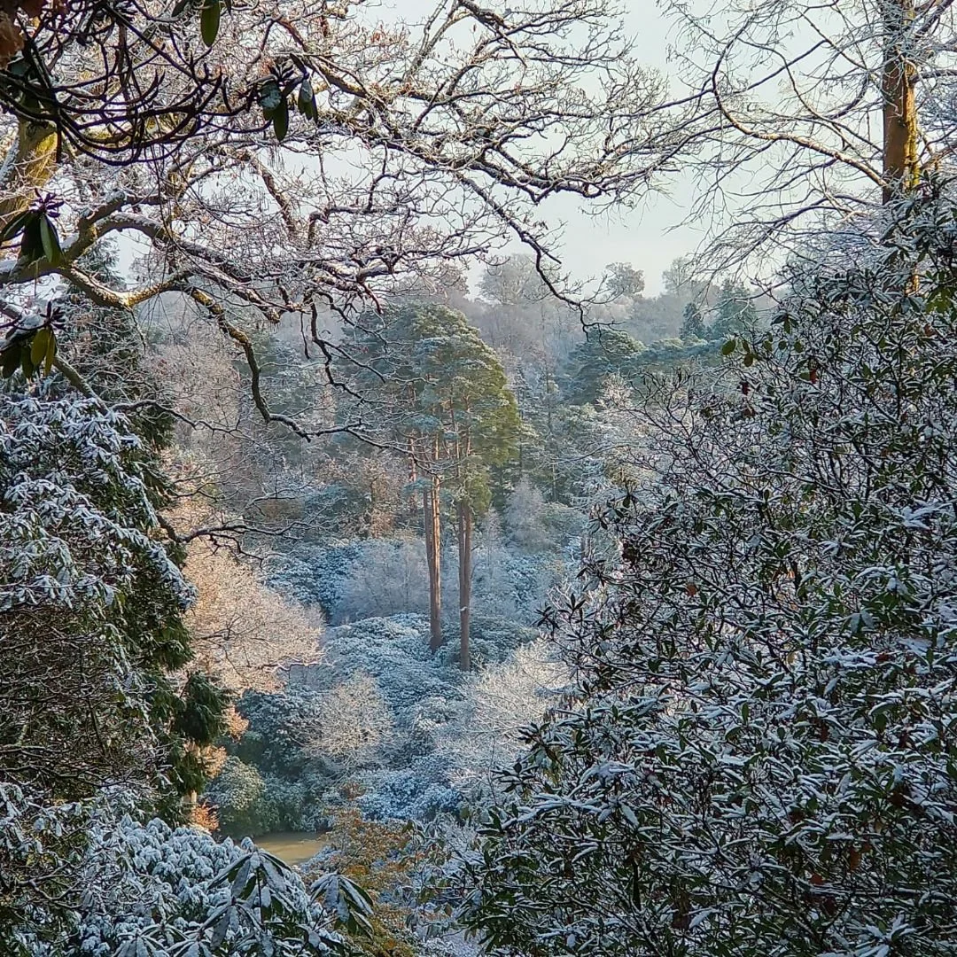 Garden News | January 2026