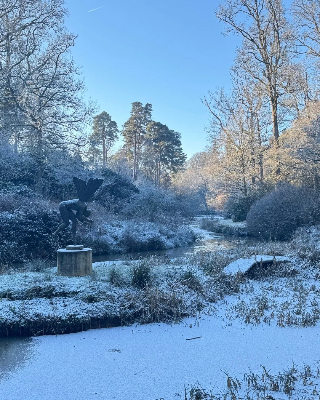 The garden sleeps... and the hush is beautiful. ❄️

#winter #frost #snow #ice #frozenlakes