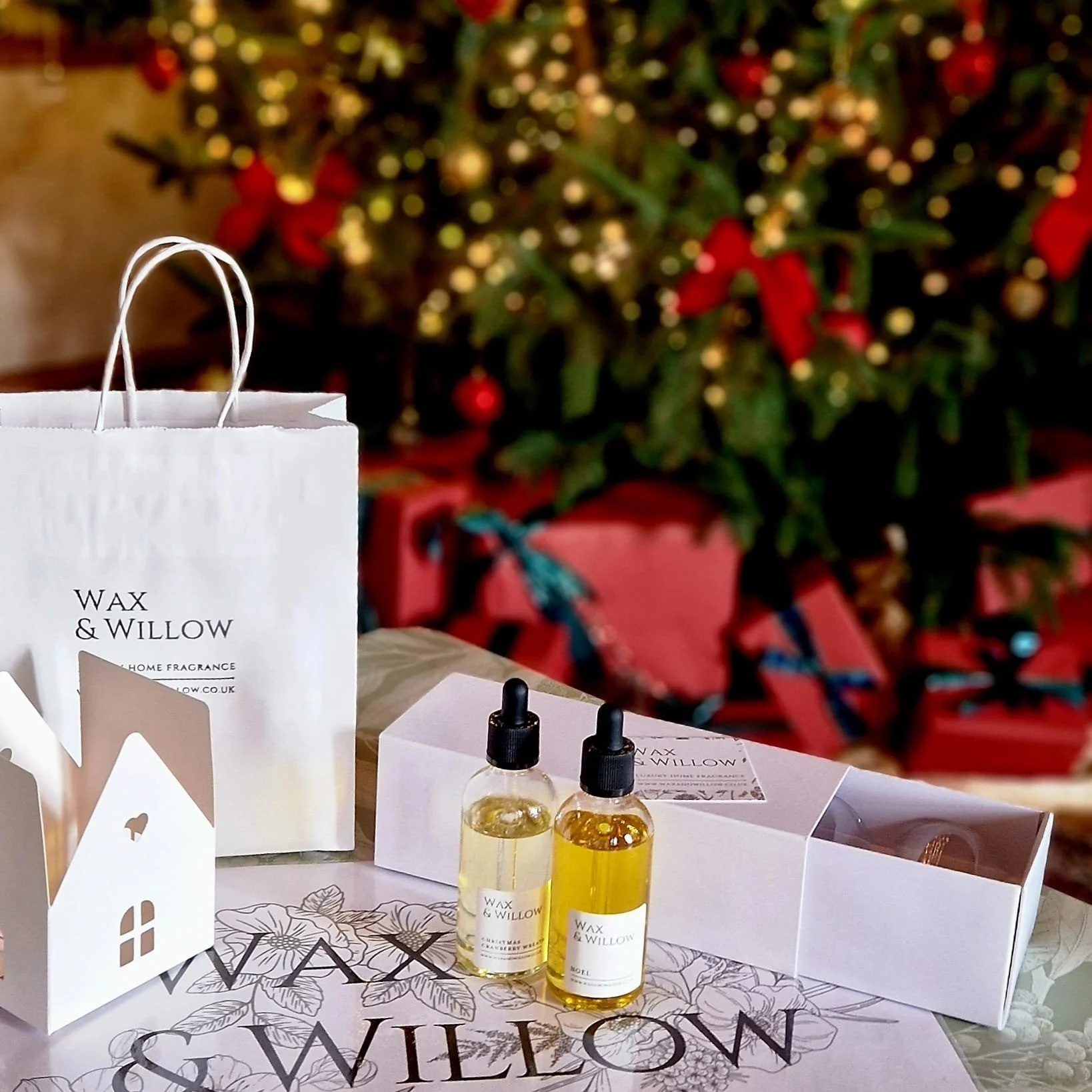 class photo christmas.jpeg