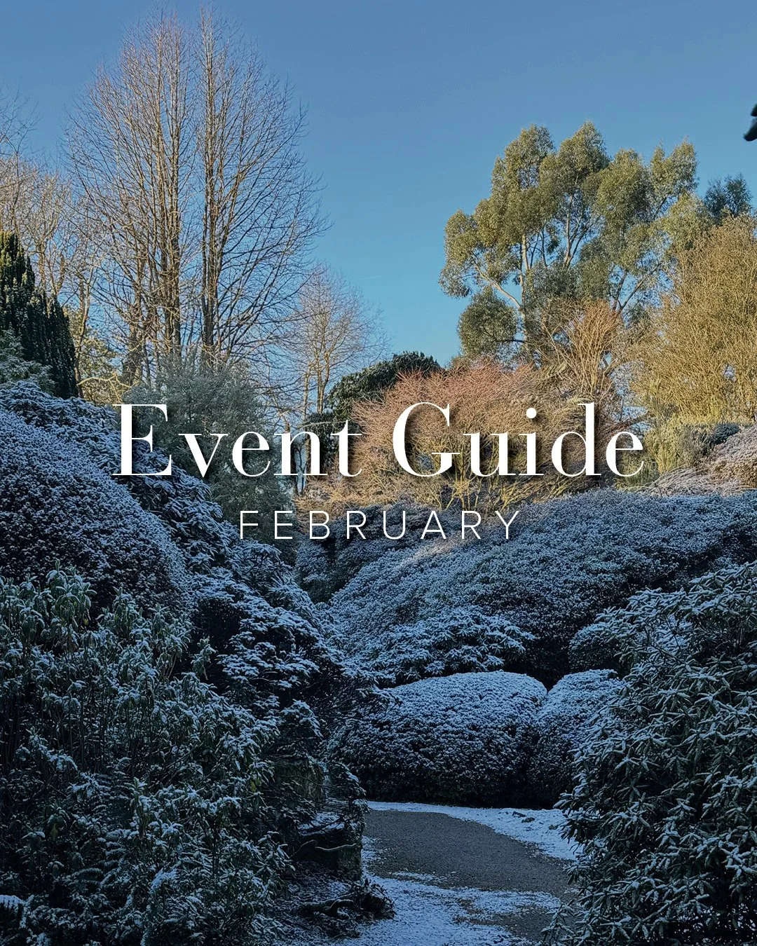 What&rsquo;s on at Leonardslee this February?
✨ Creative workshops
😂 Comedy &amp; Quiz Nights
👨&zwj;👩&zwj;👧 Half-term family activities
🌿 Wellbeing in the gardens
🍽️ Supper Club evening
🎧 Silent Disco night

👉 Discover February at Leonardslee