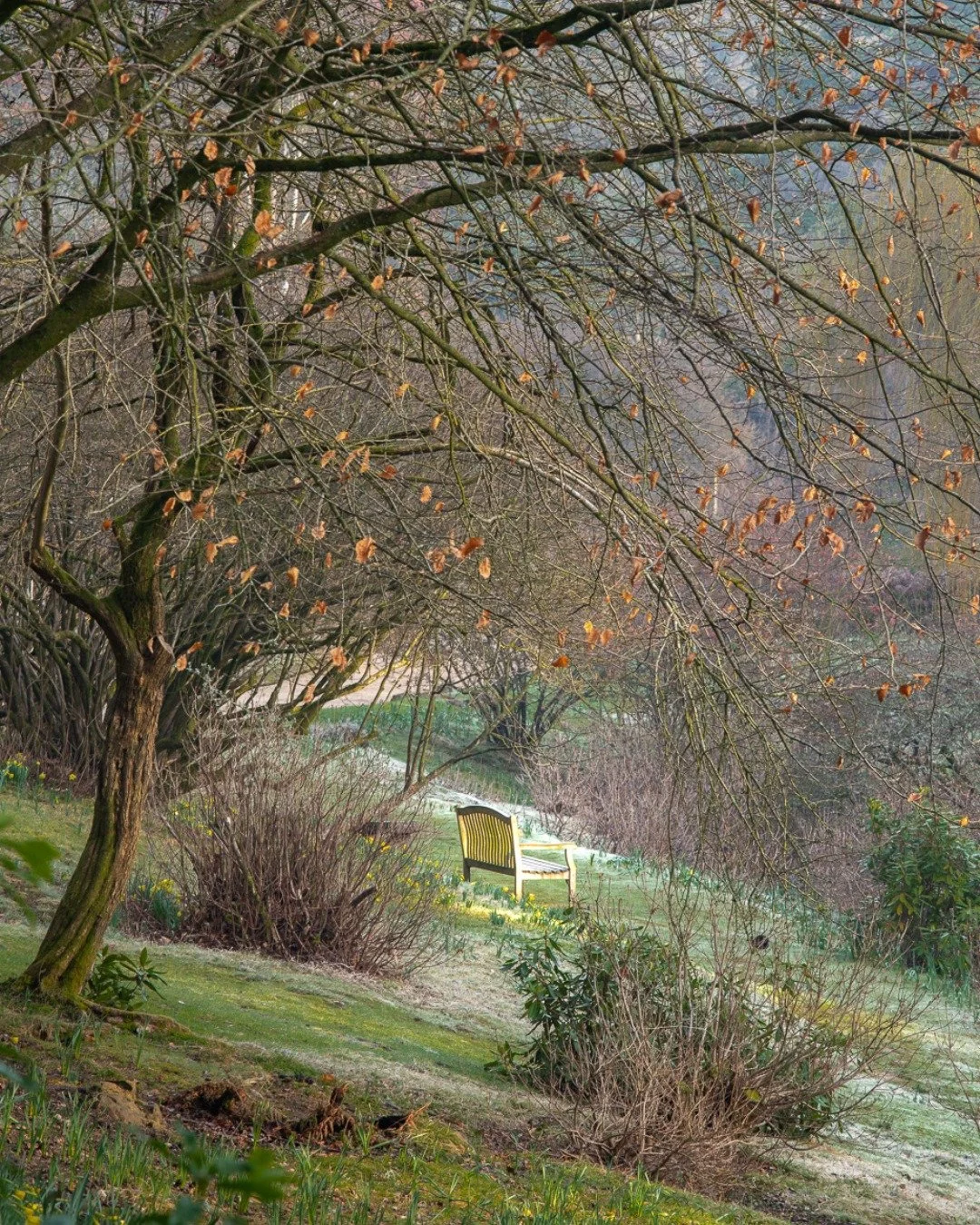 There&rsquo;s a quiet kind of magic in the valley this time of year...

Bare branches, still waters, and the soft crunch of gravel underfoot as you walk. Calm on the surface, but you can tell that spring is beginning to stir from and that something w