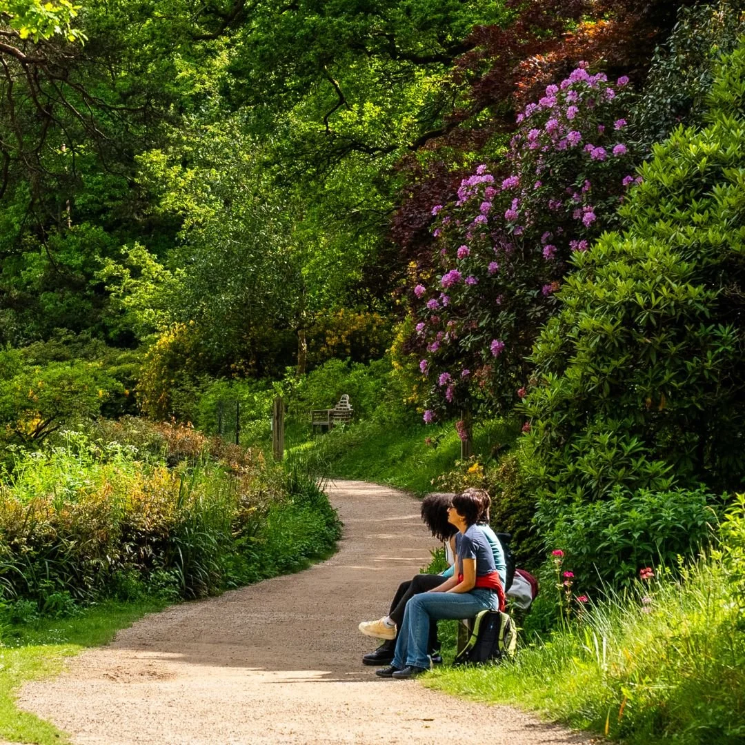 Early Spring at Leonardslee Horsham Sussex (9).jpg