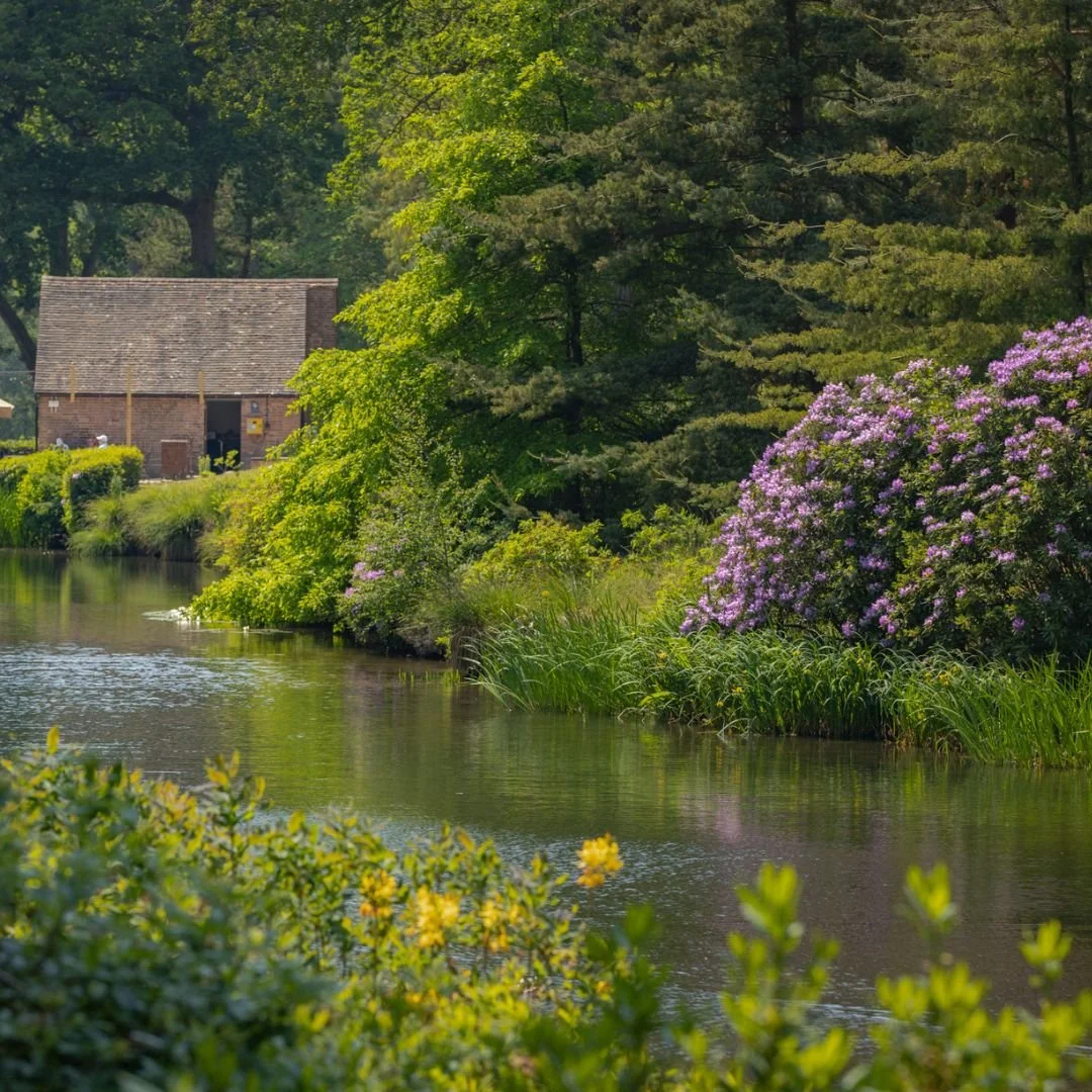 Early Signs of Spring | Leonardslee Gardens