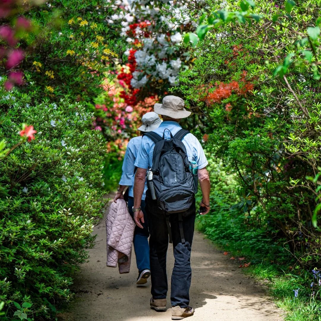 English Tourism Week Leonardslee Gardens (2).jpg