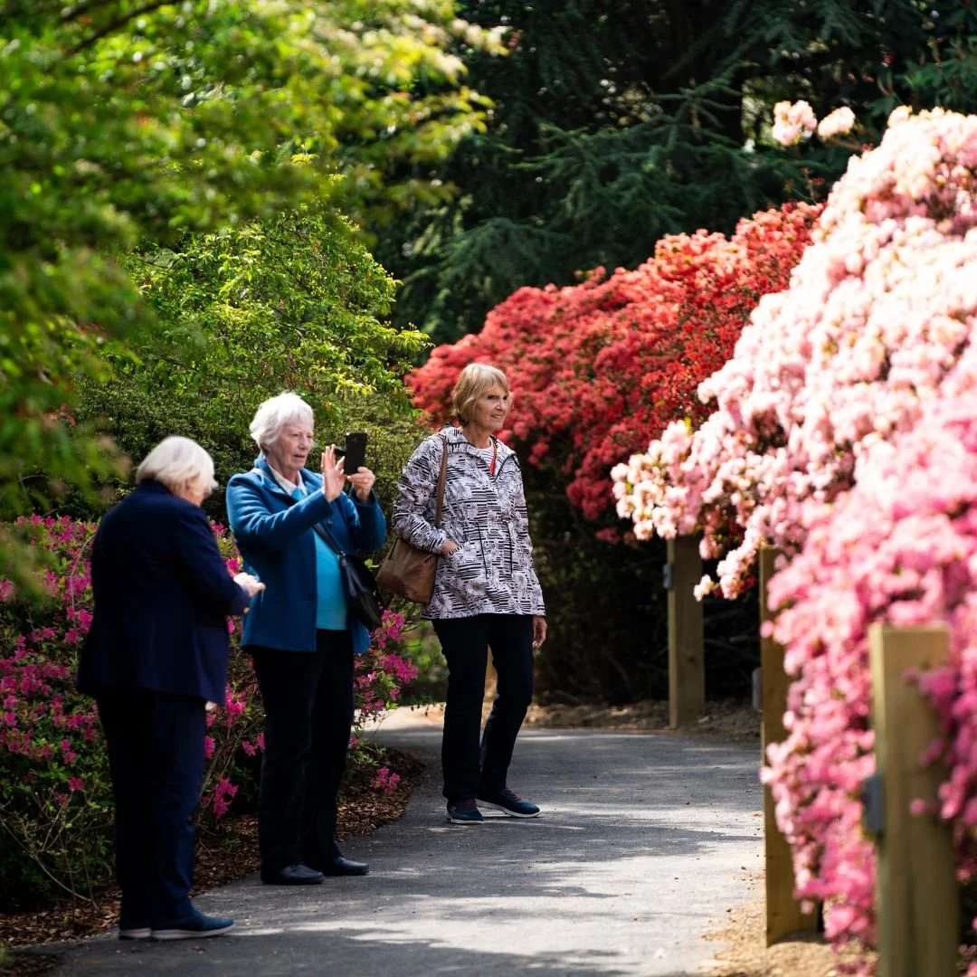English Tourism Week Leonardslee Gardens (4).jpg