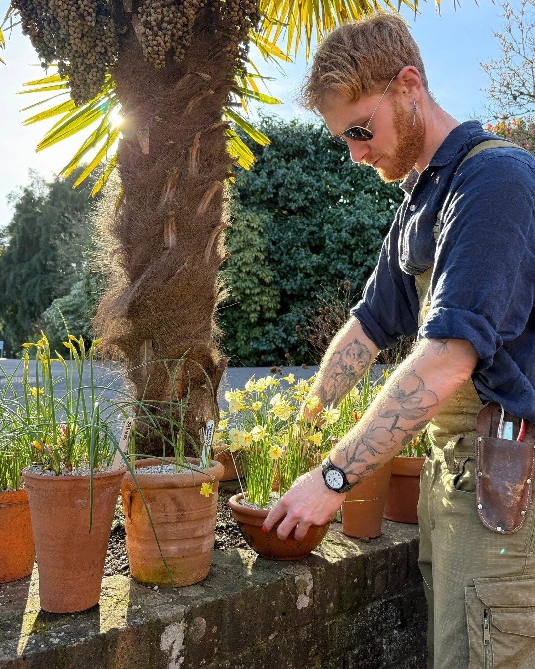 Our garden team start planning the spring bulbs as early as June, reviewing the previous year&rsquo;s planting and choosing both favourite varieties and new additions for the season ahead.

By autumn the bulbs arrive and the real work begins. Pots ar