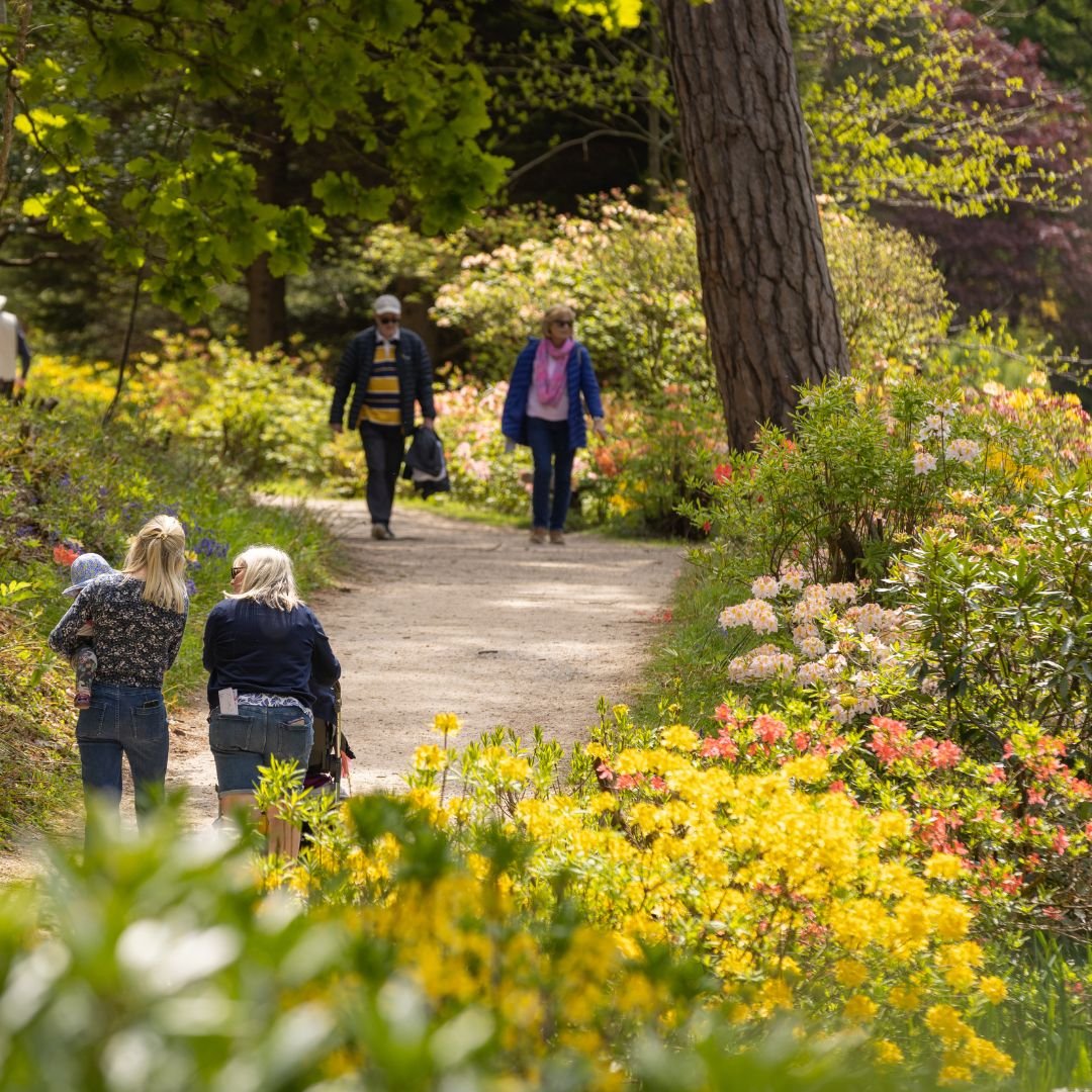 Mothers Day Horsham Leonardslee Gardens (3).jpg