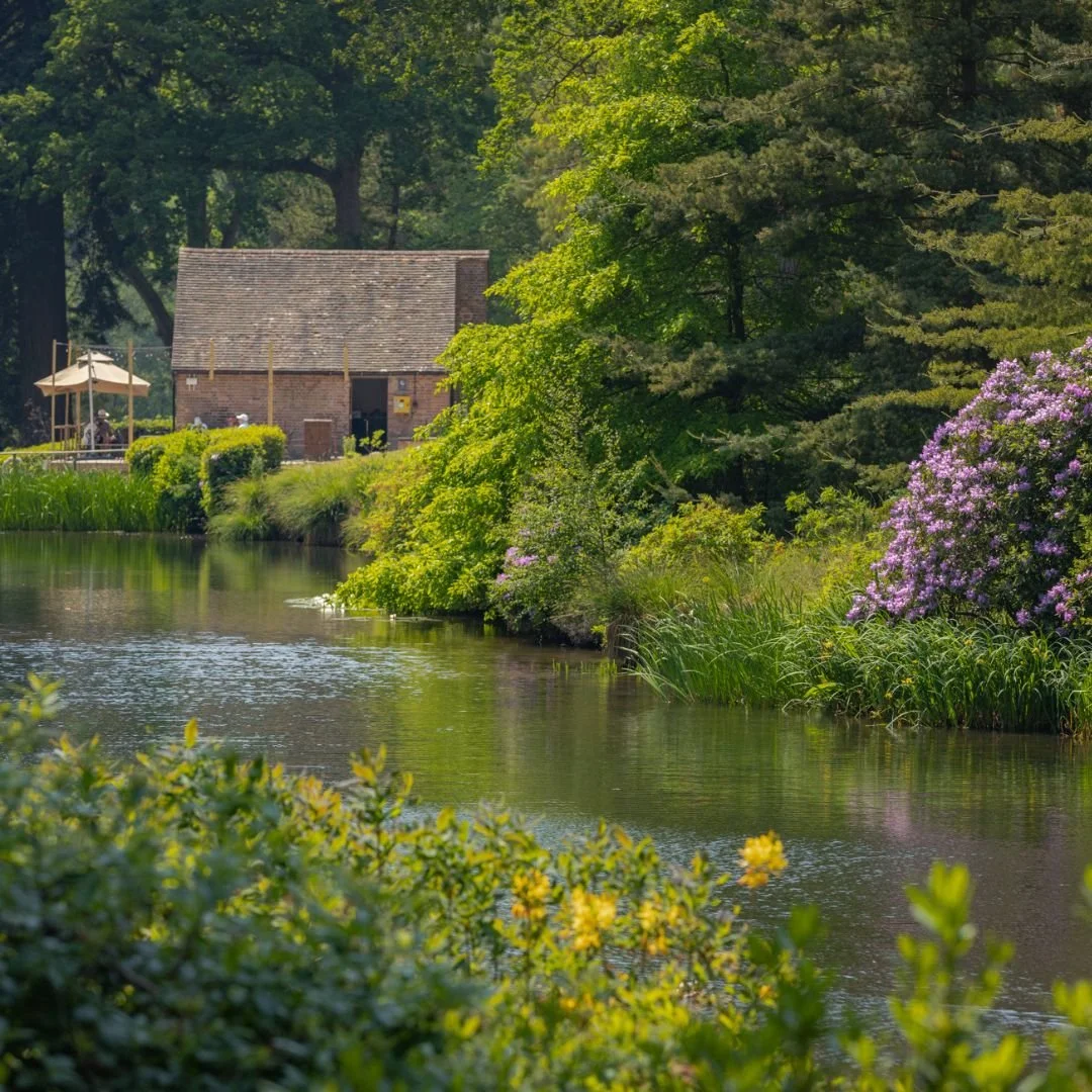 Mothers Day Horsham Leonardslee Gardens (5).jpg