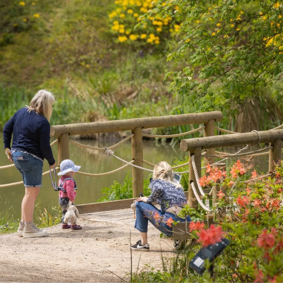 Mothers Day Horsham Leonardslee Gardens (7).jpg