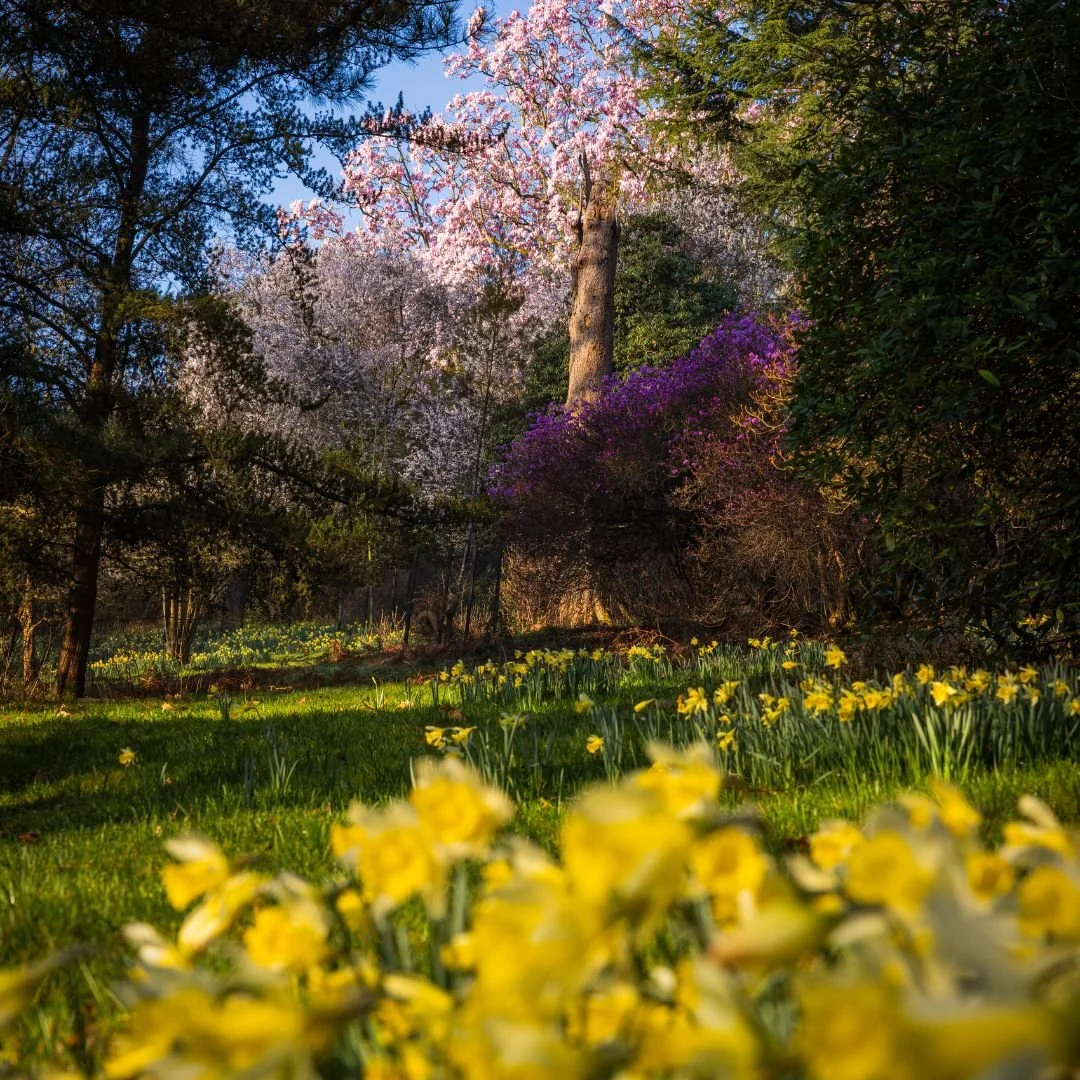 Mothers Day Horsham Leonardslee Gardens (1).jpg
