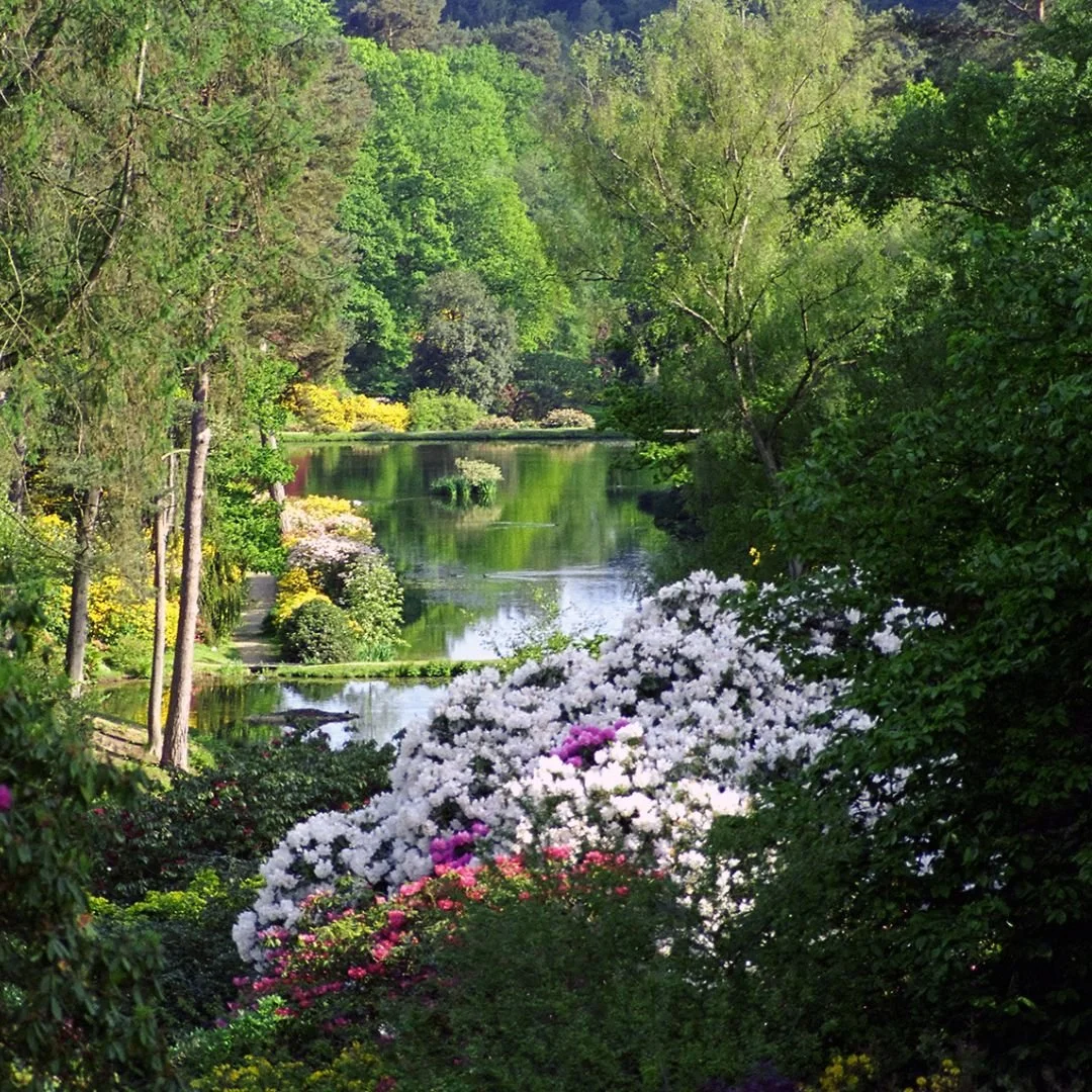 Mothers Day Horsham Leonardslee Gardens (2).jpg