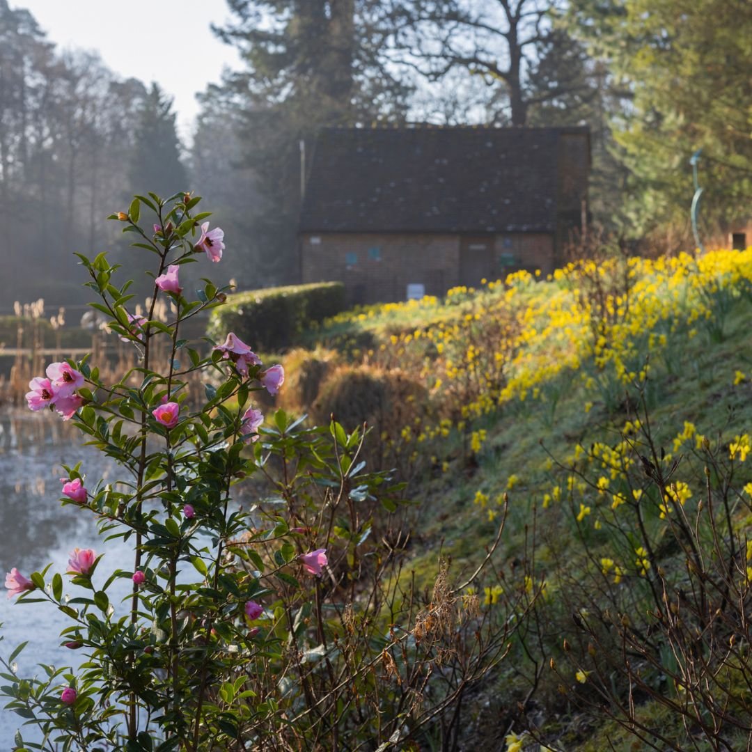 Mothers Day Horsham Leonardslee Gardens (9).jpg