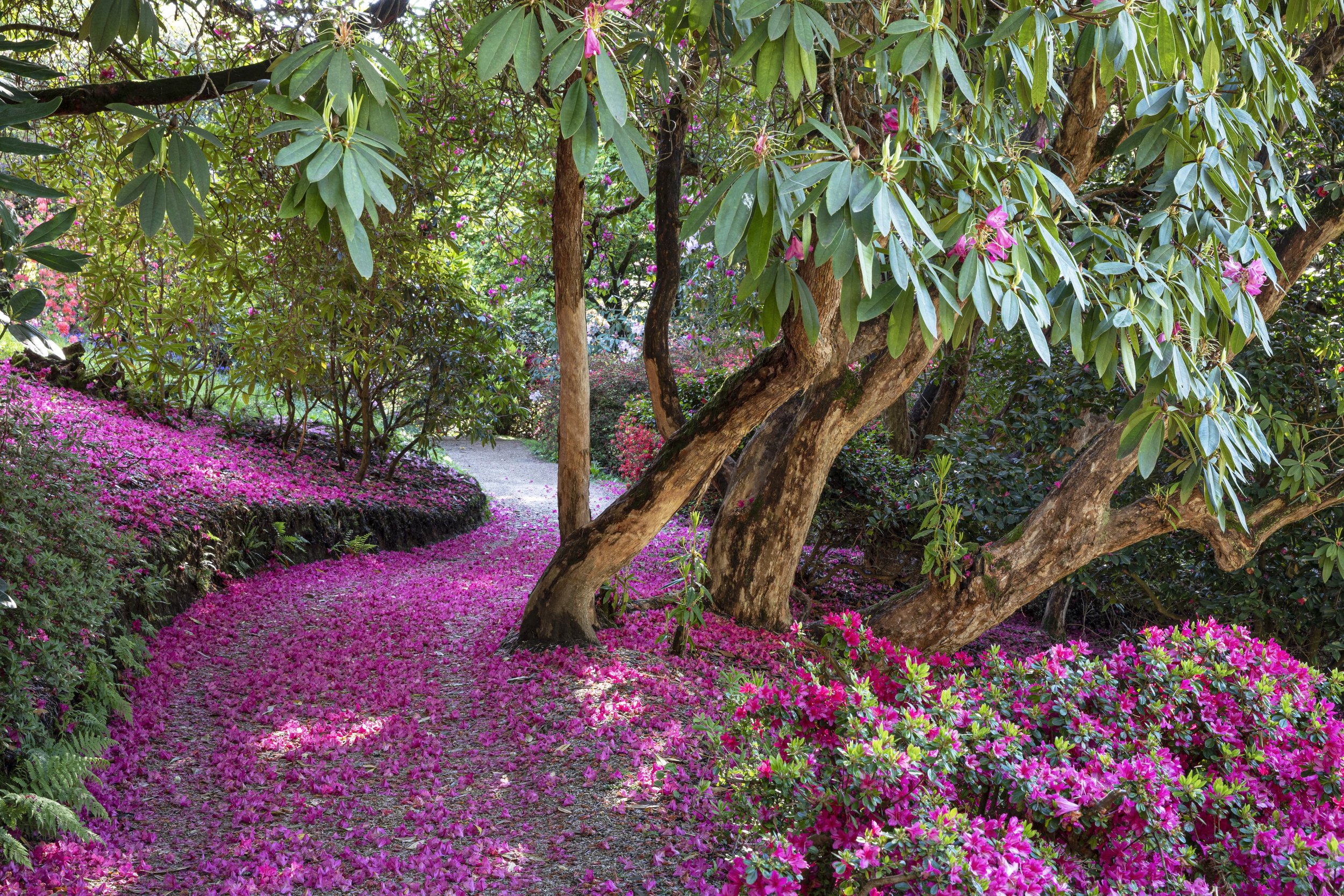 RBD020520-498 (1)_1.jpg