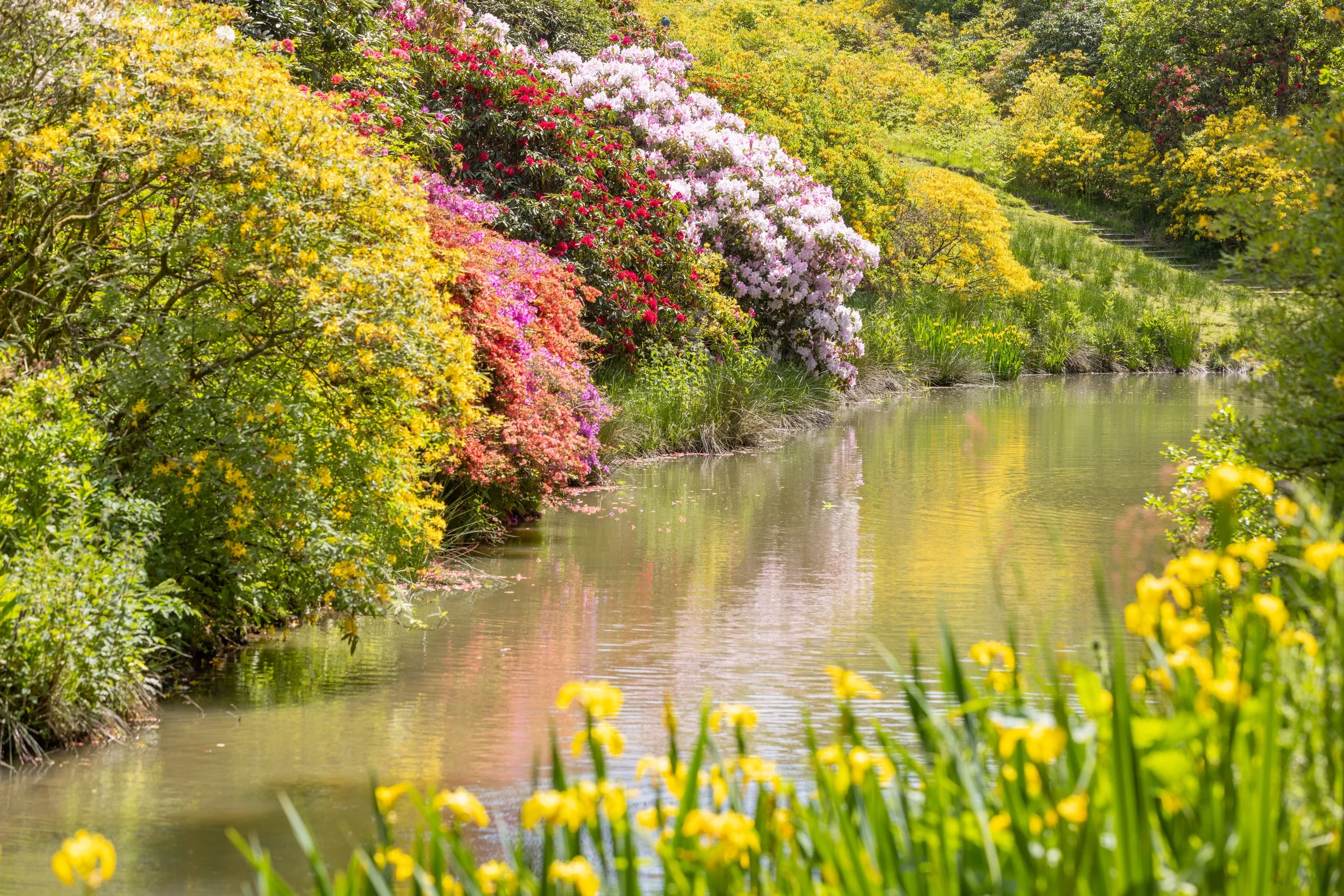 leonardslee-family-visit-38 (1).jpg