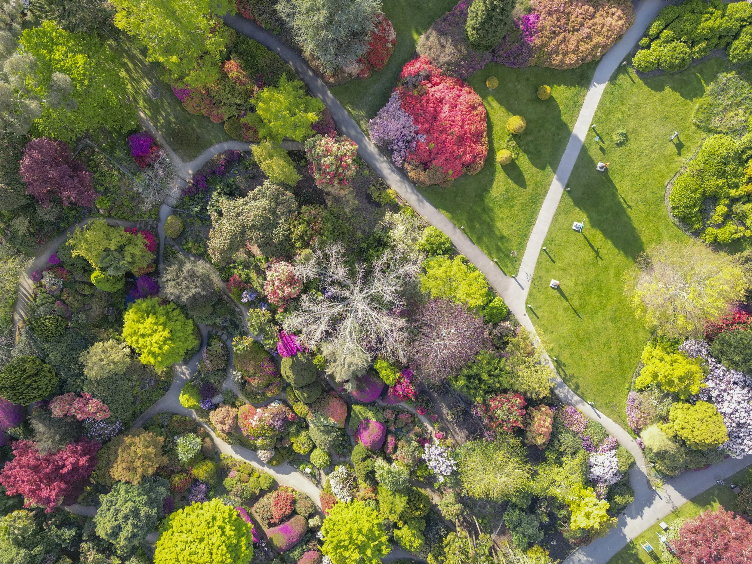 Rhododendron Celebration at Leonardslee&nbsp;