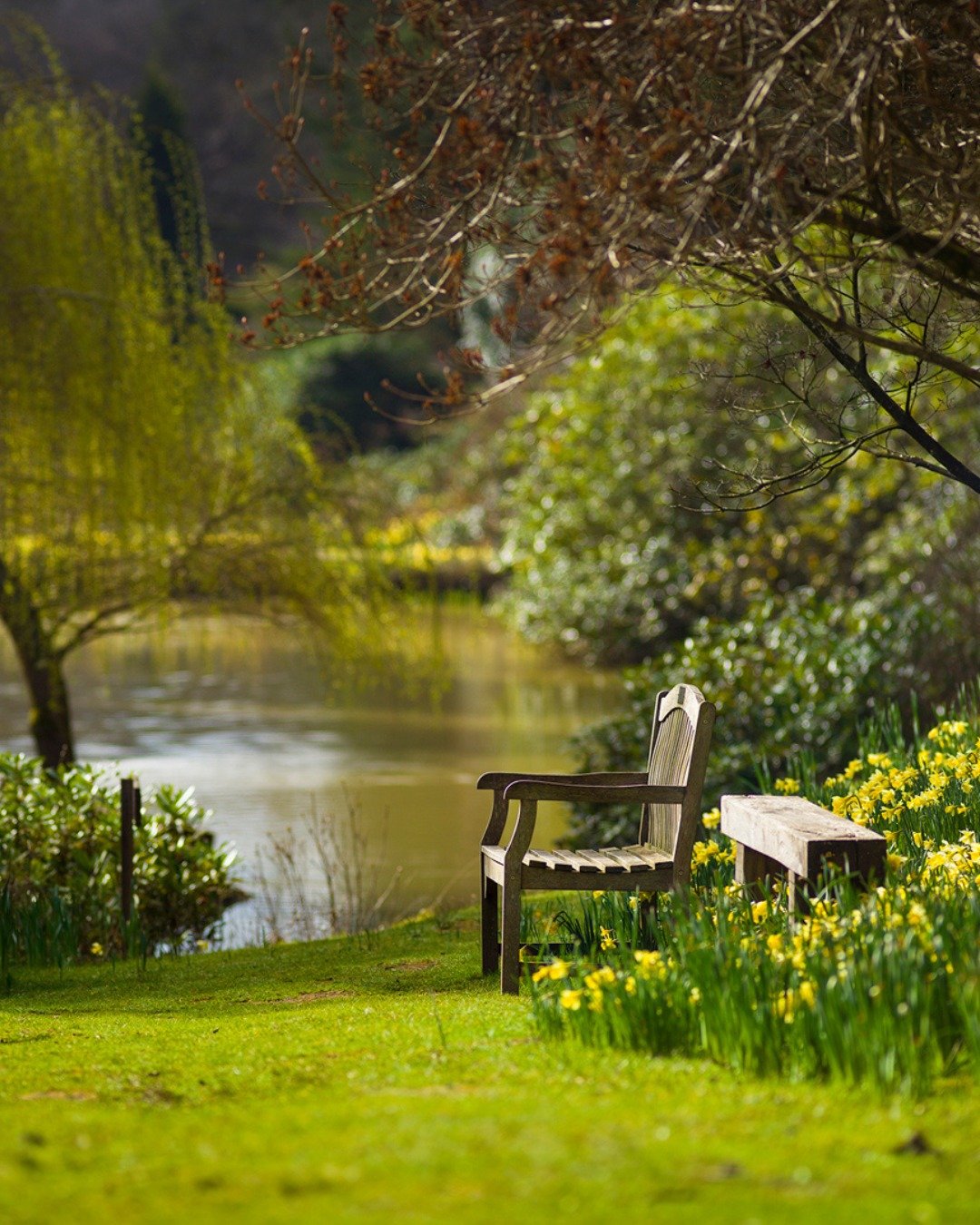 Wishing a very Happy Mother&rsquo;s Day to all the wonderful mums, grandmothers, carers and mother figures in our community. 🌸

Today is a moment to celebrate the love, care and quiet magic that mothers bring into our lives every day.

Whether you&r
