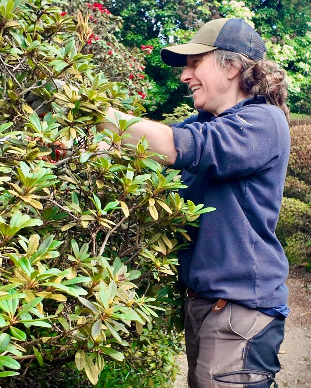 Over the last year our Senior Gardener, Sarah Gardner, has been closely observing the seasons changing in our historic Rock Garden - whilst also reviewing old photographs of the area. Now, under her watchful gaze, we are carrying out sensitive restor