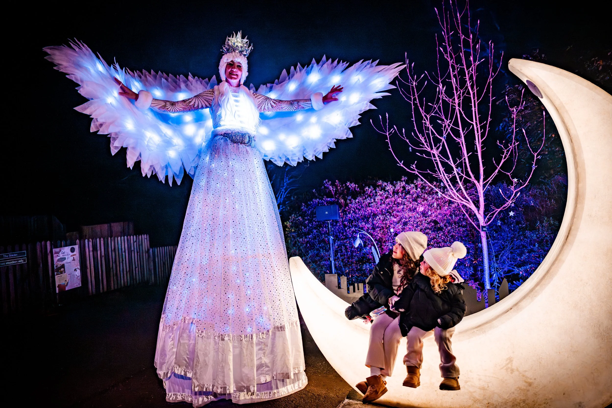 Leonardslee Lights.jpg