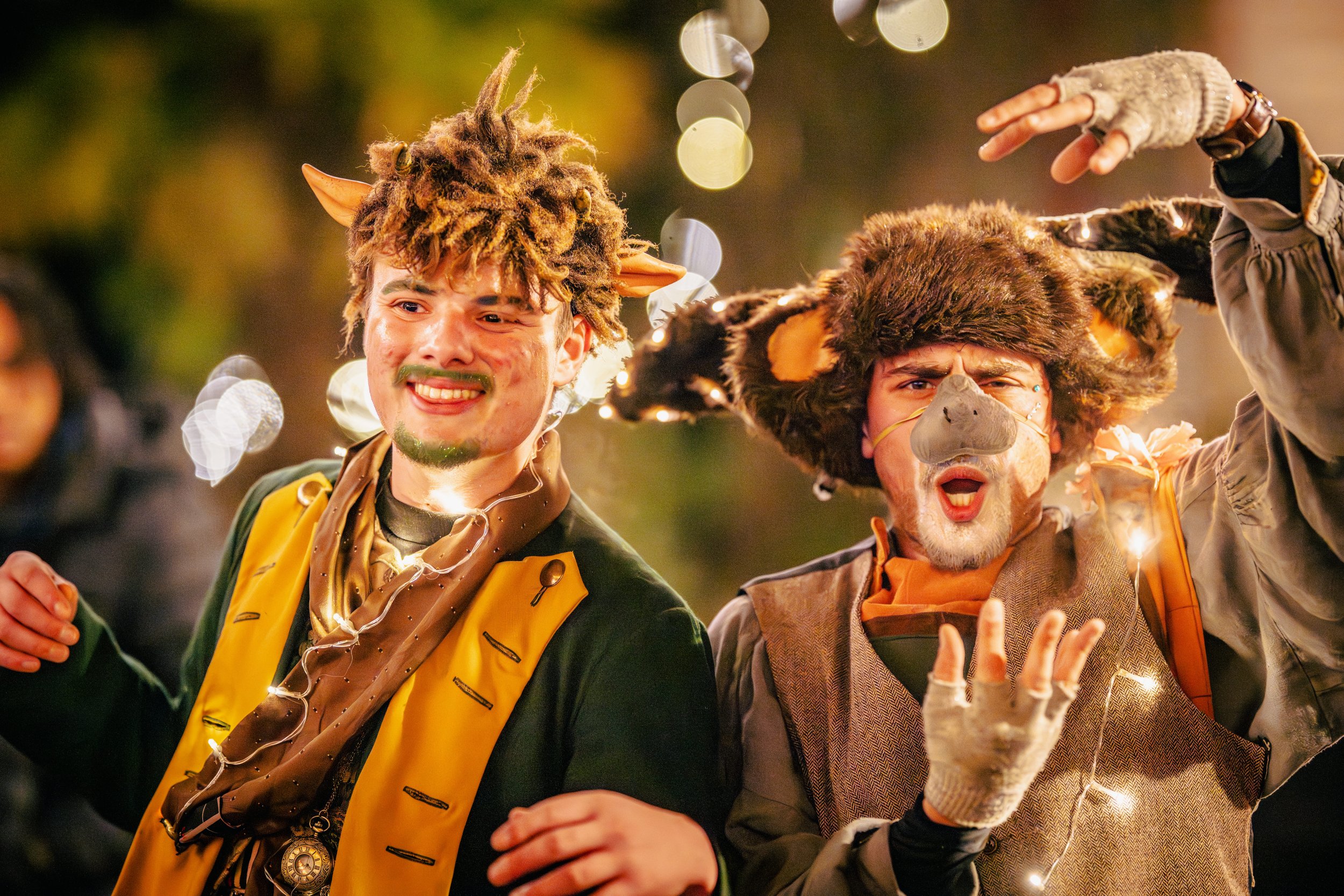 Leonardslee Lights.jpg