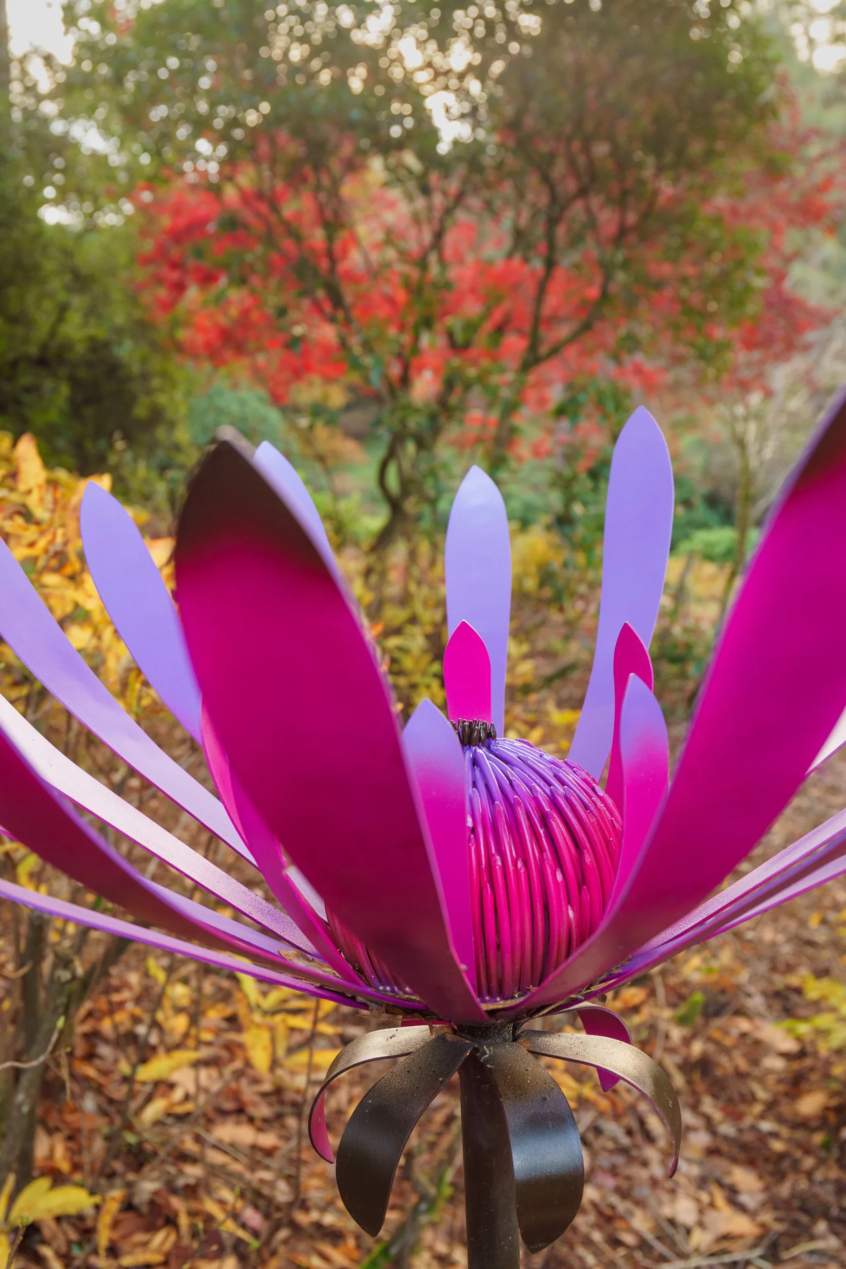 Where Art and Nature Meet&nbsp;