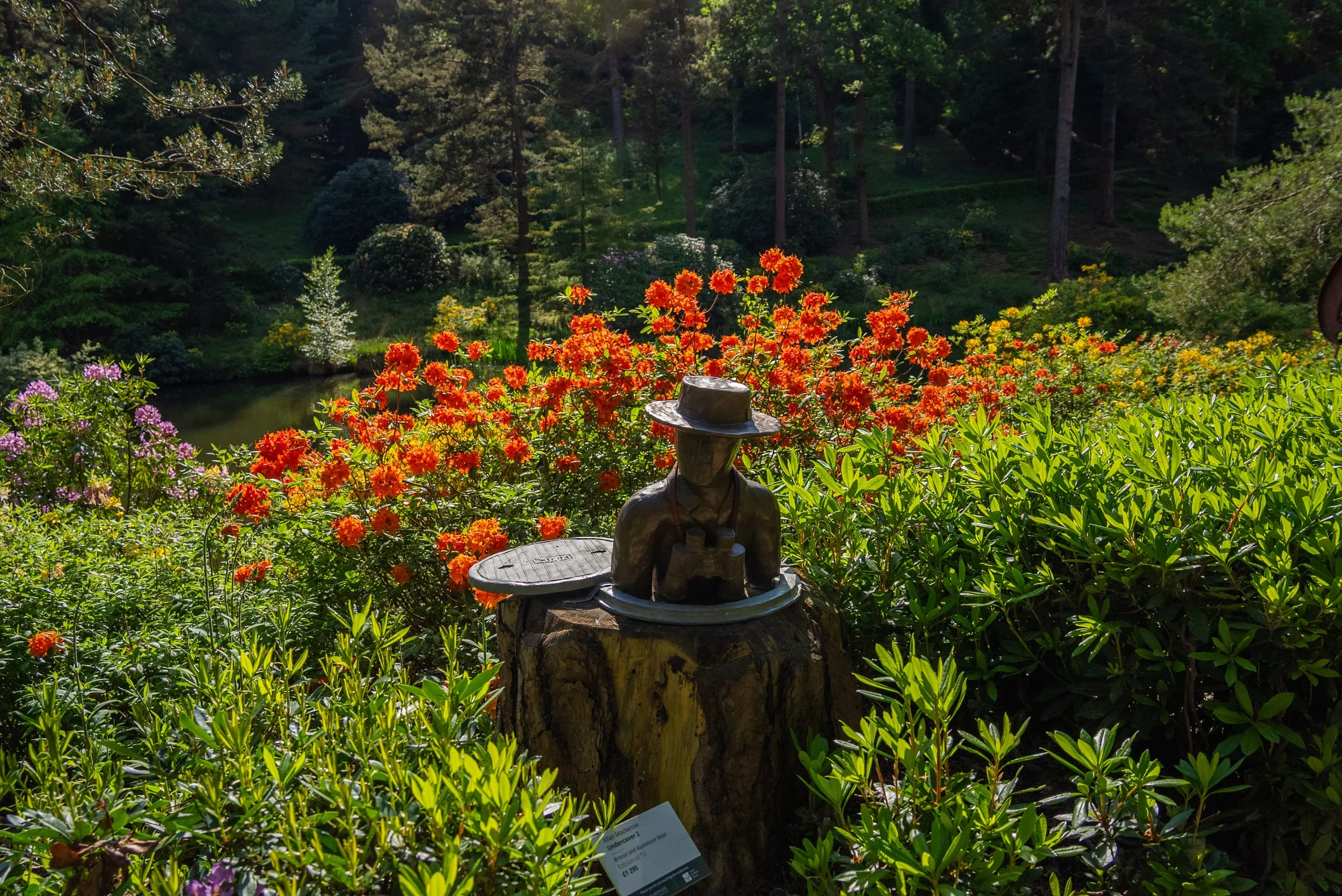 Leonardslee Gardens Spring.jpg