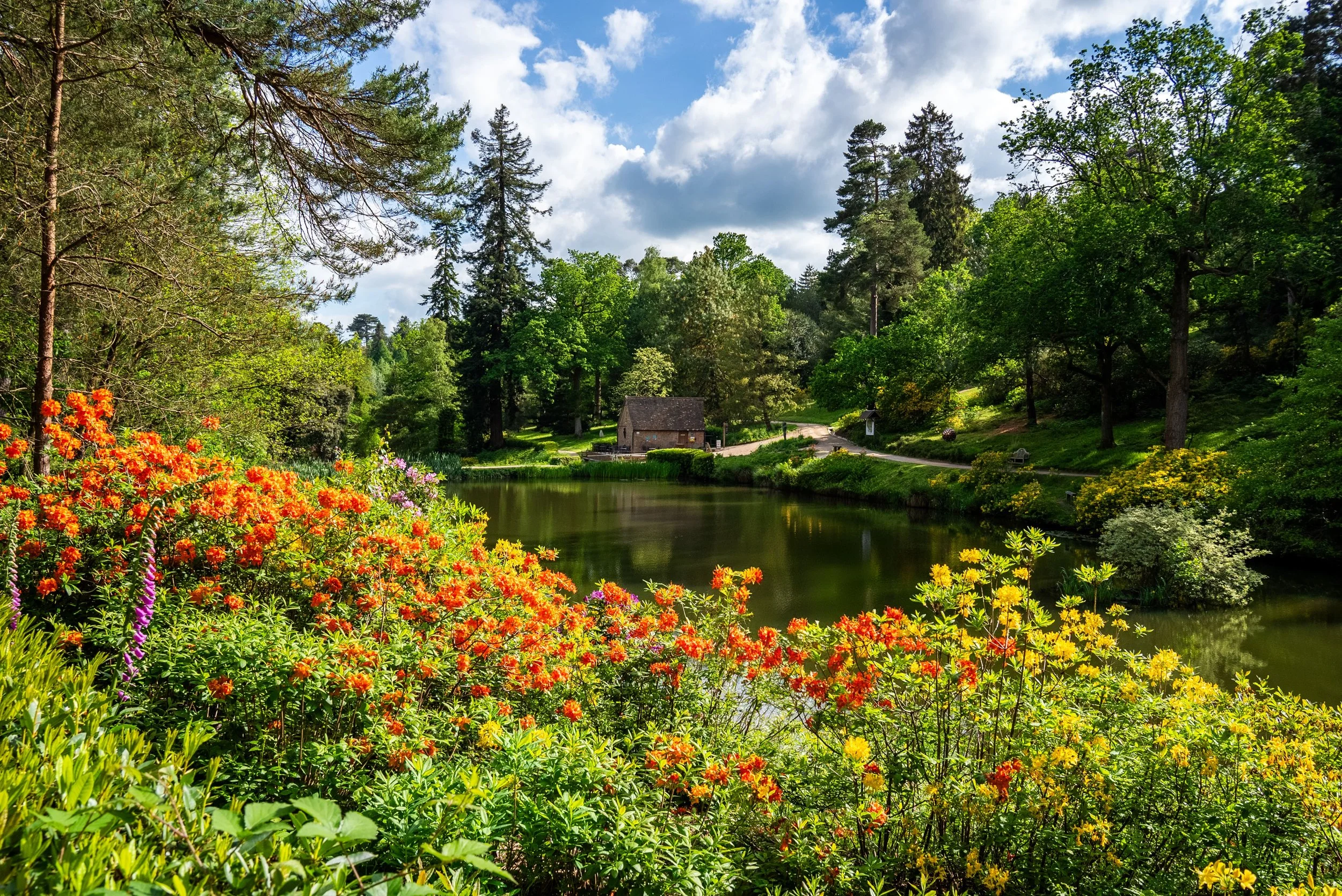 Leonardslee lakes & gardens.jpg
