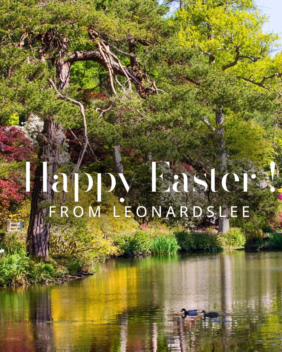Happy Easter from Leonardslee Lakes &amp; Gardens ✨🌸

We&rsquo;re open throughout the Easter weekend, with spring unfolding across the estate in colour, scent and fresh new growth.

Our Easter Trail is running daily until 12 April, offering a perfec
