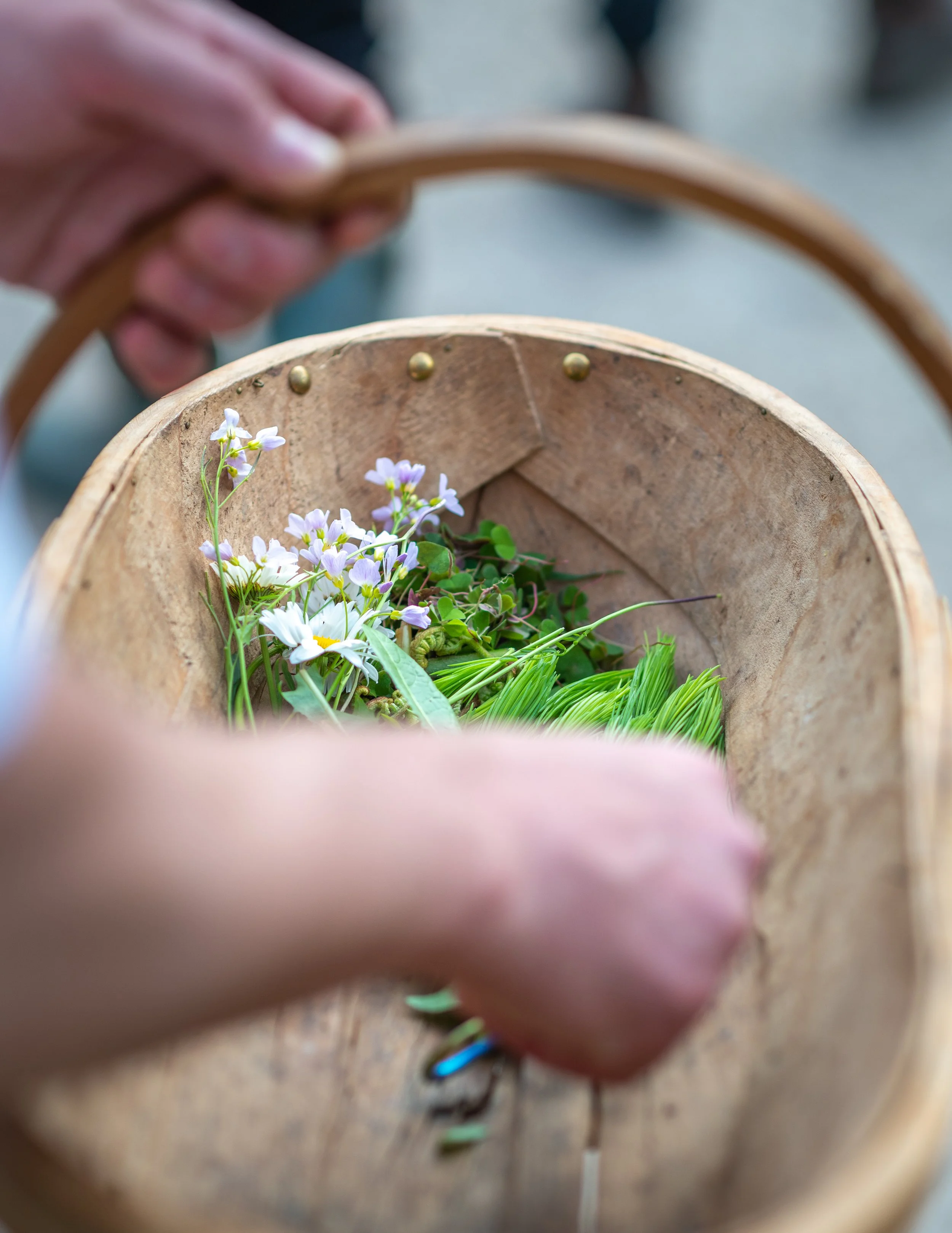 Foraging Leonardlee interlude.jpg