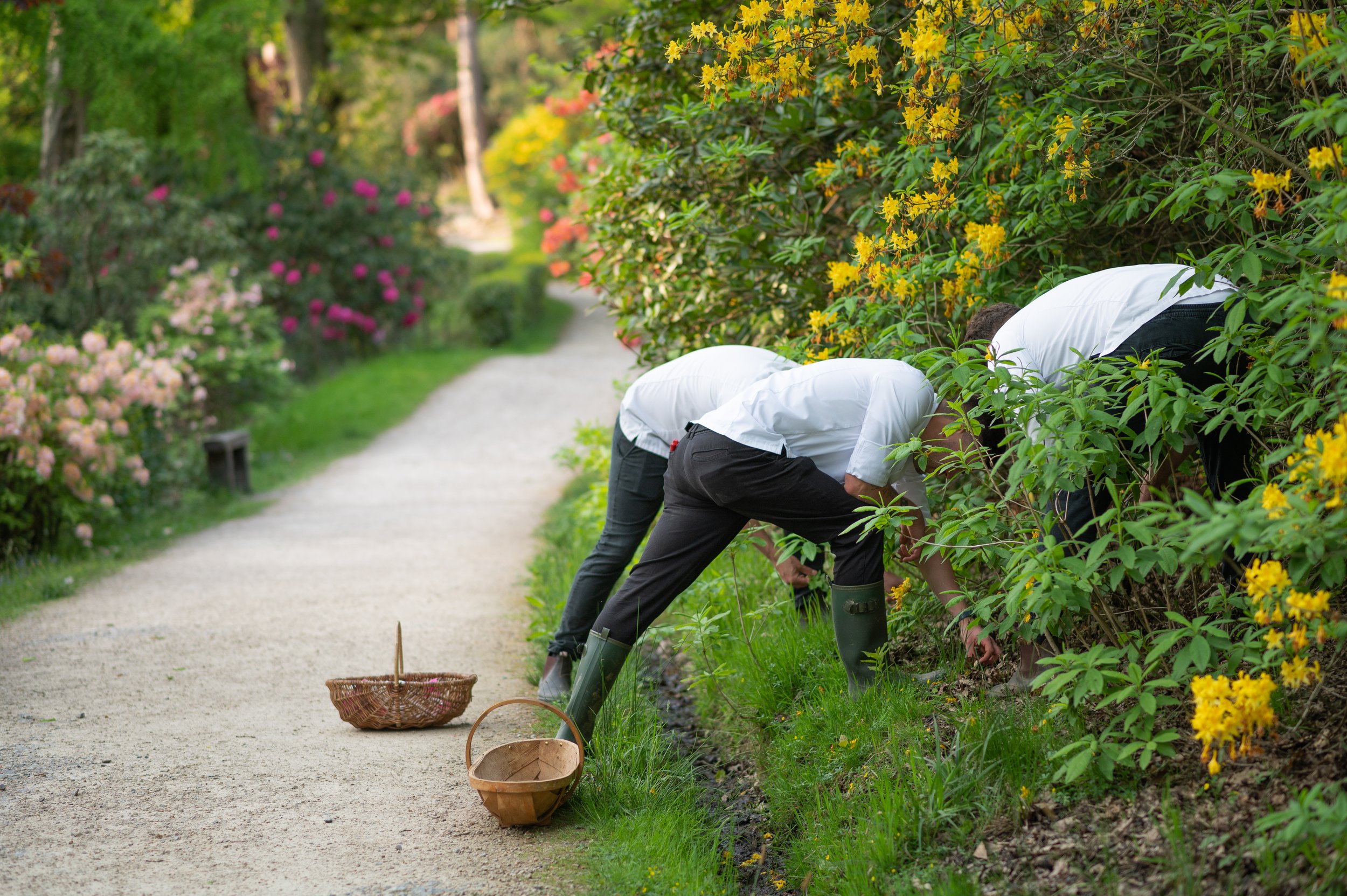 Spring Awakening at Restaurant Interlude&nbsp;