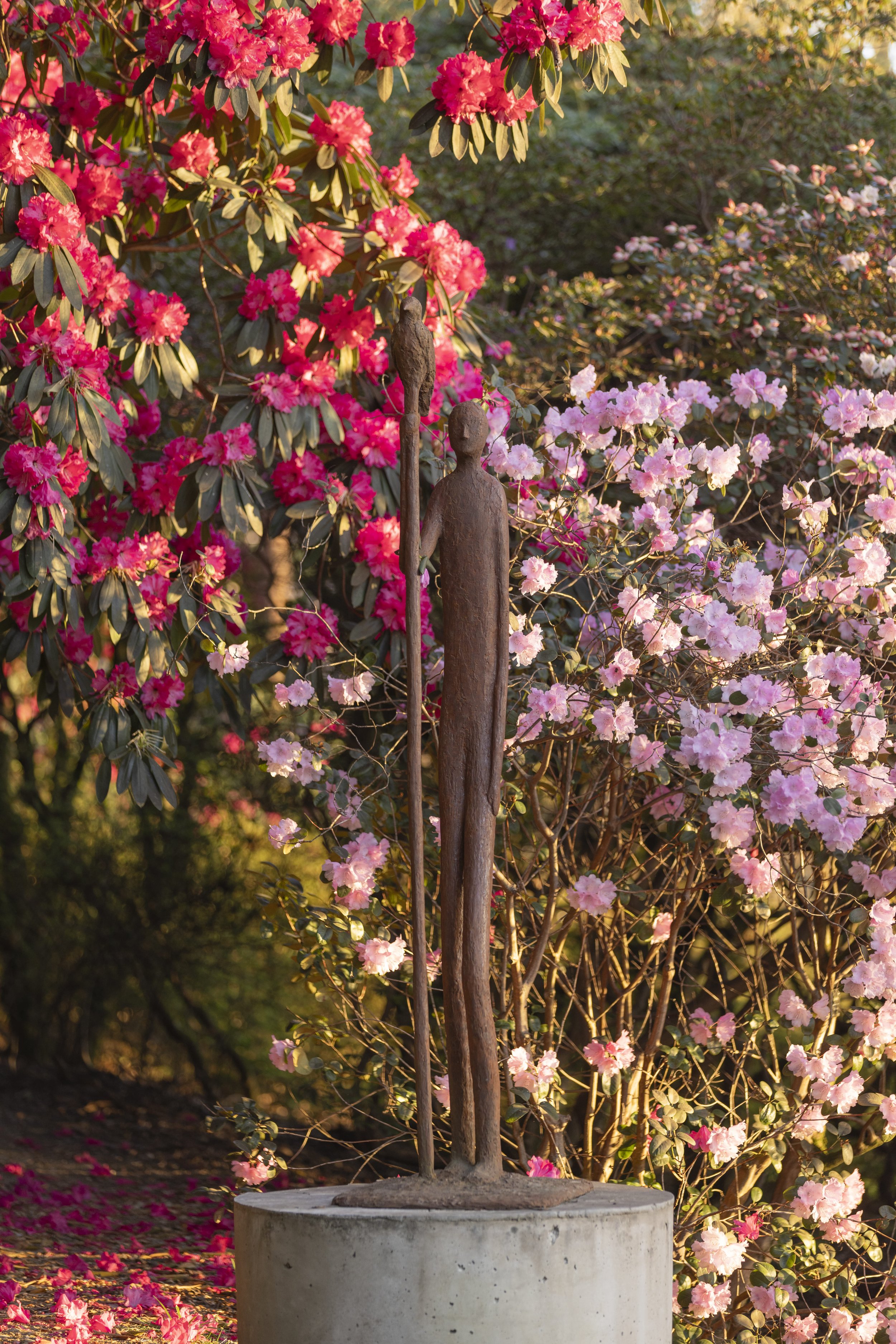 Leonardslee-spring-2026-high-21.jpg