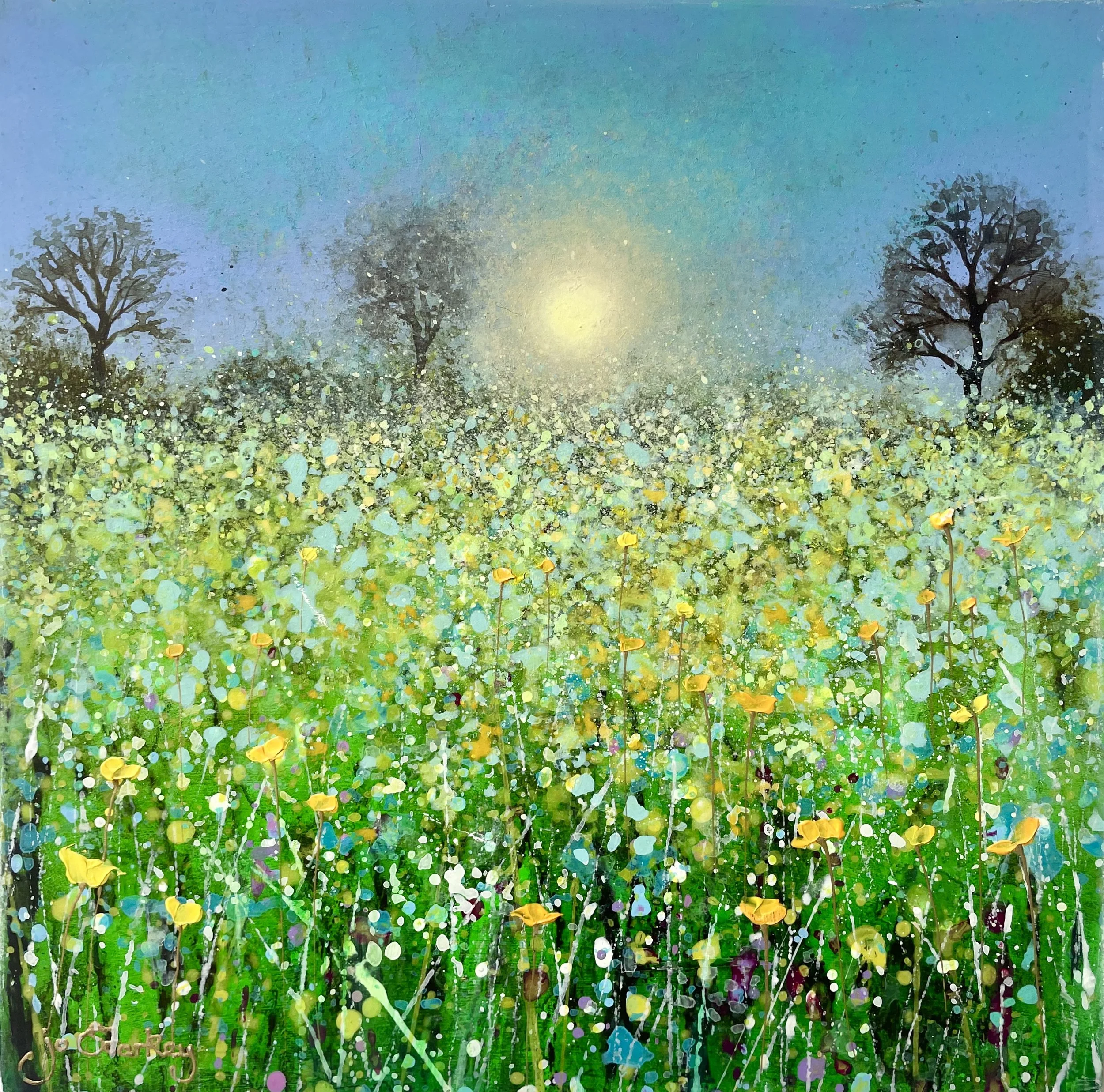 Sun Kissed Meadow .jpg
