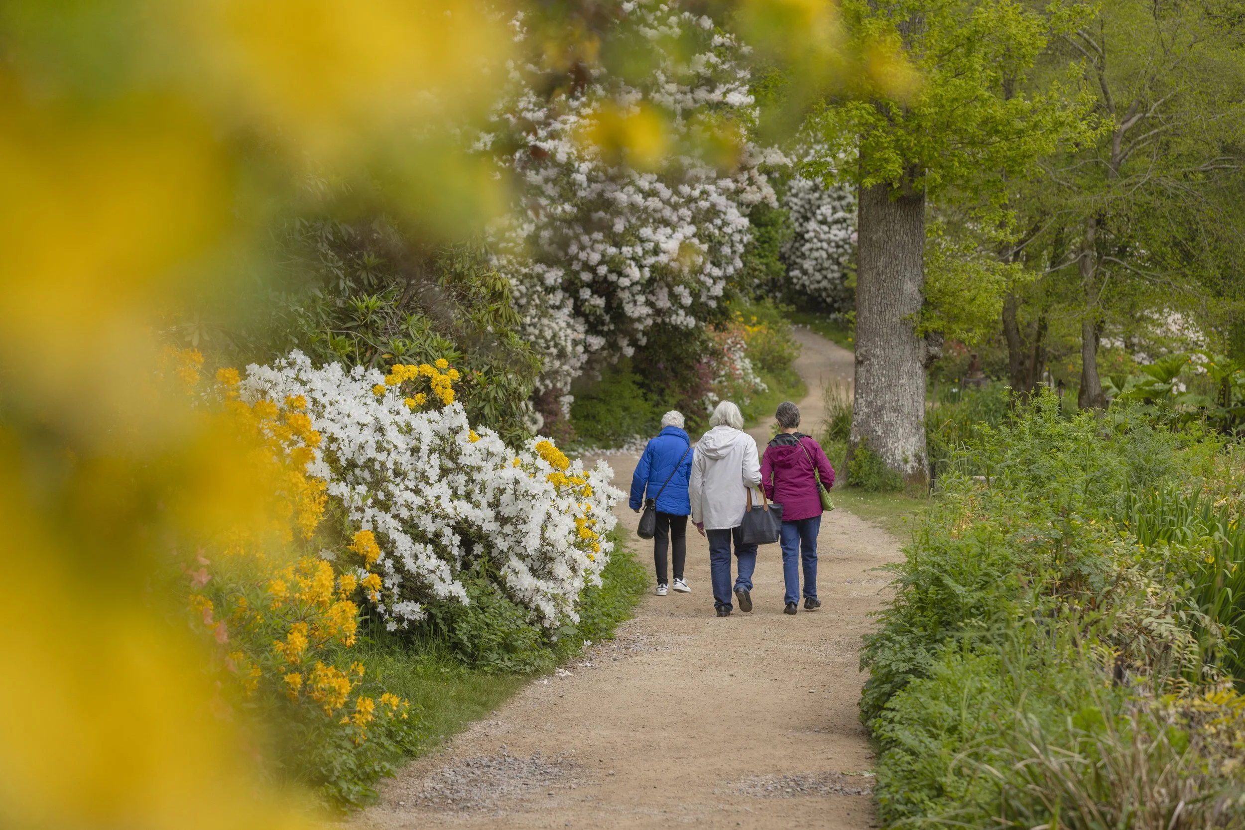 Discover the Best Walks at Leonardslee Lakes &amp; Gardens&nbsp;