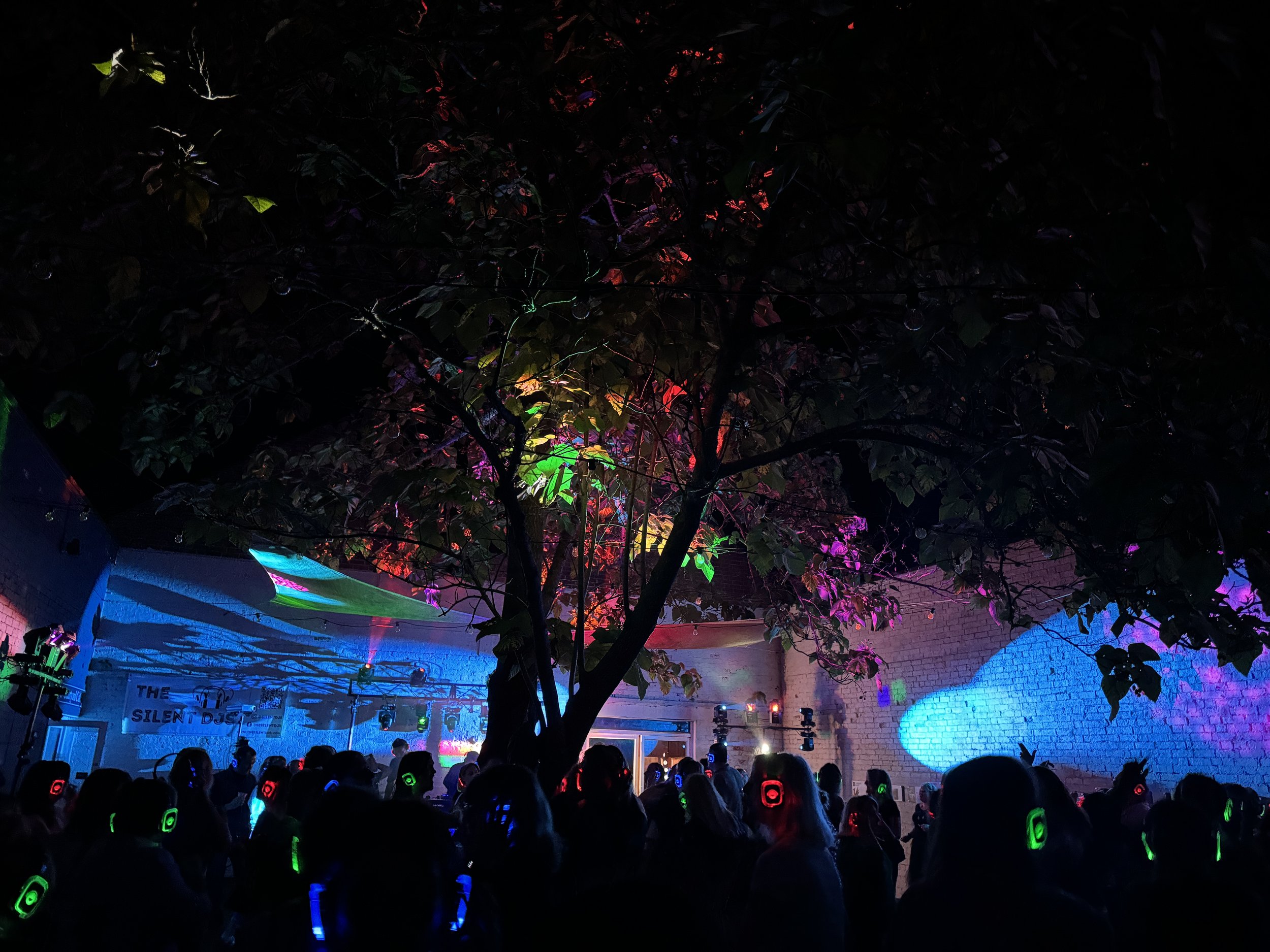 Adult Silent Disco at Leonardslee.jpg