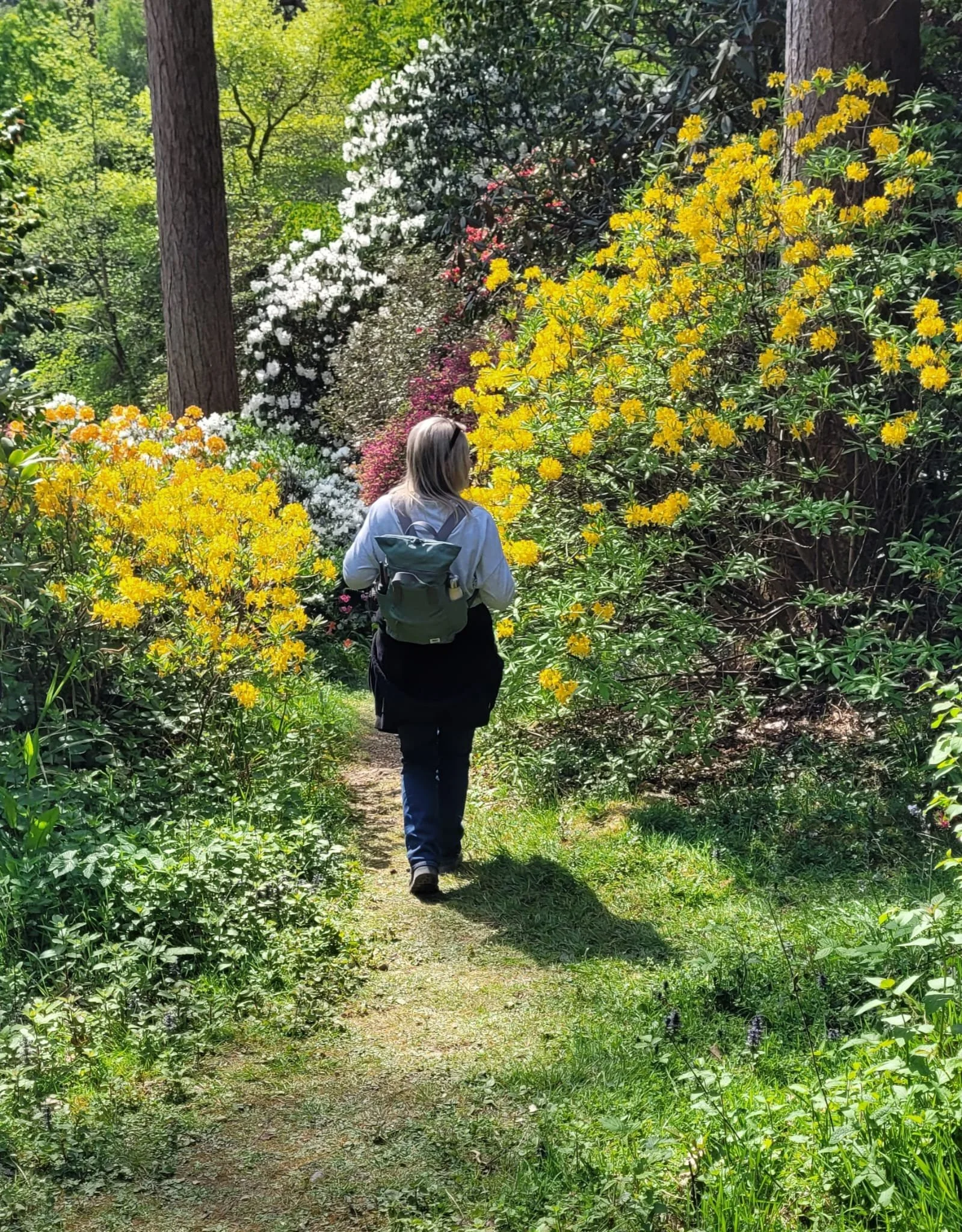 Forest Bathing (2).jpeg