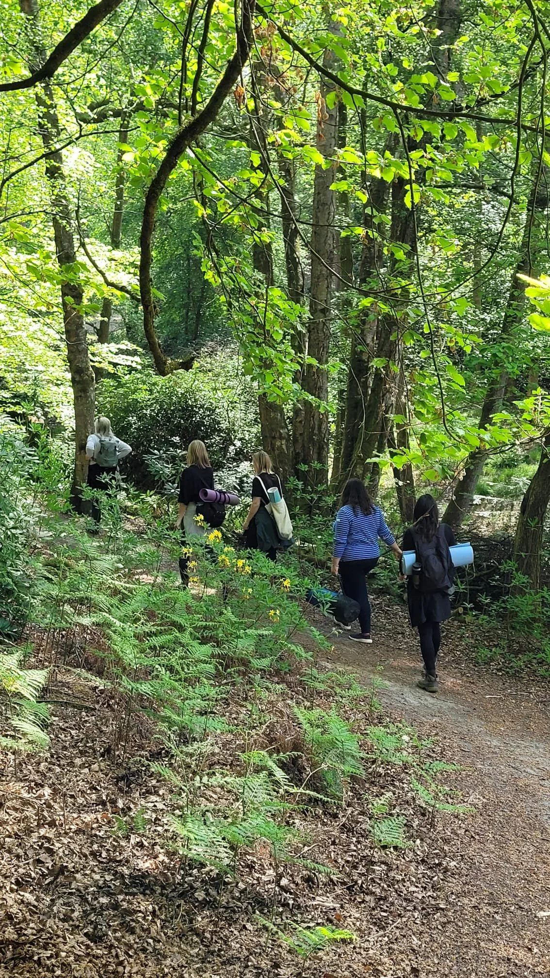 Forest Bathing at Leonardslee.jpeg