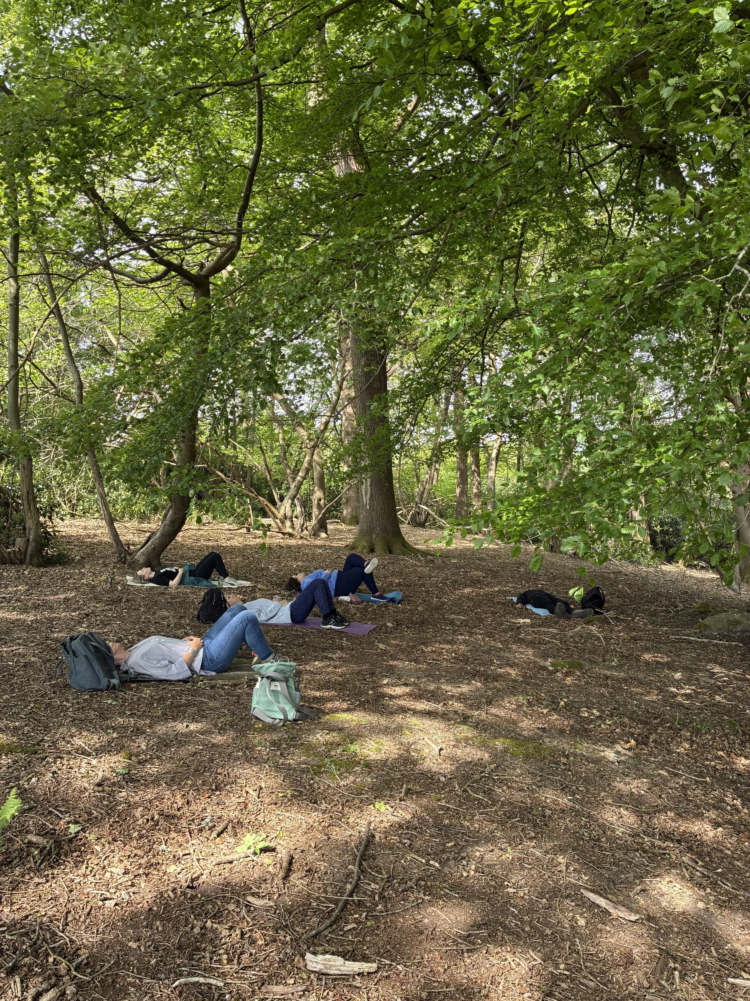Forest Bathing at Leonardslee Lakes & Gardens.jpeg