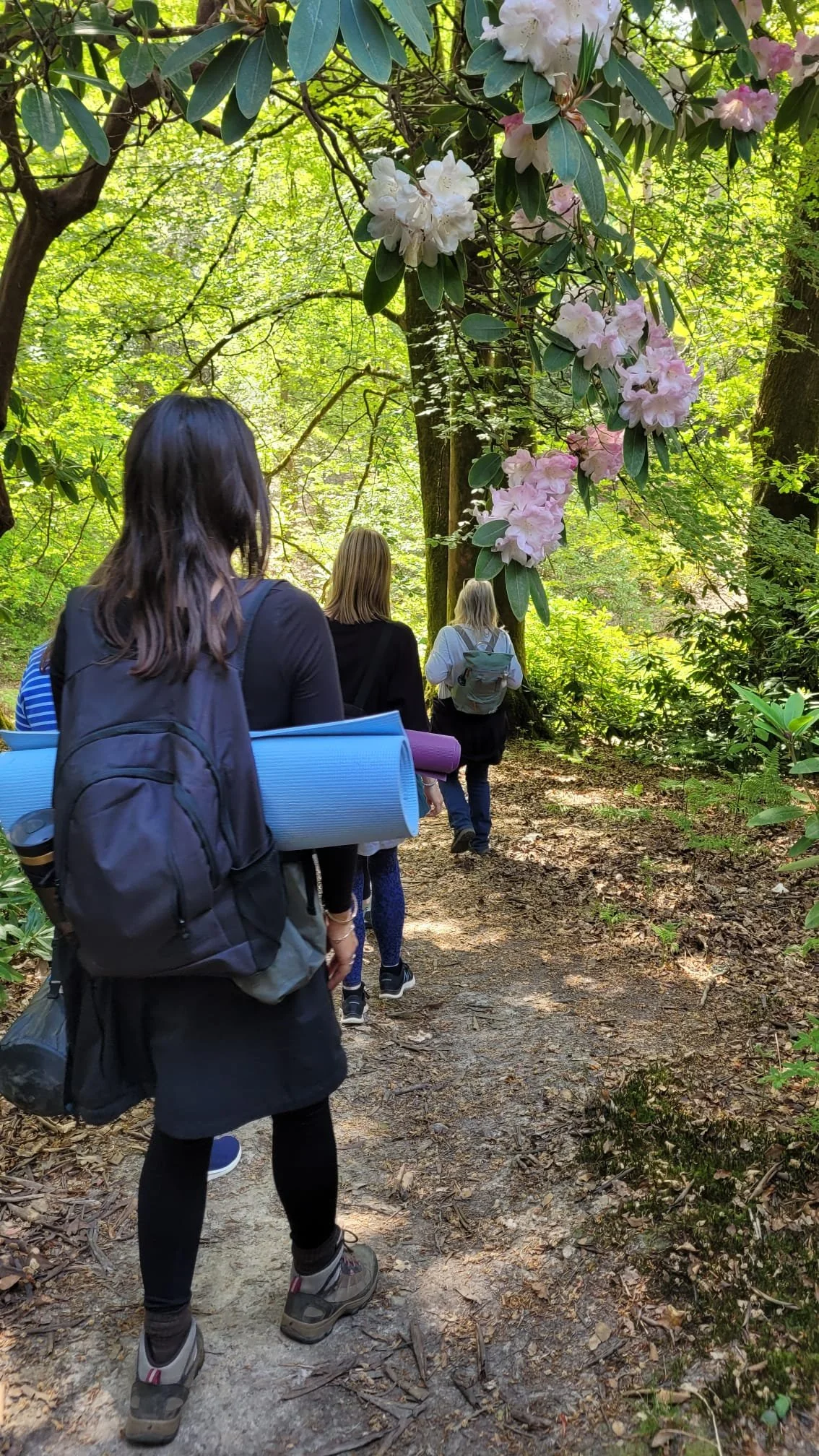 Forest Bathing.jpeg