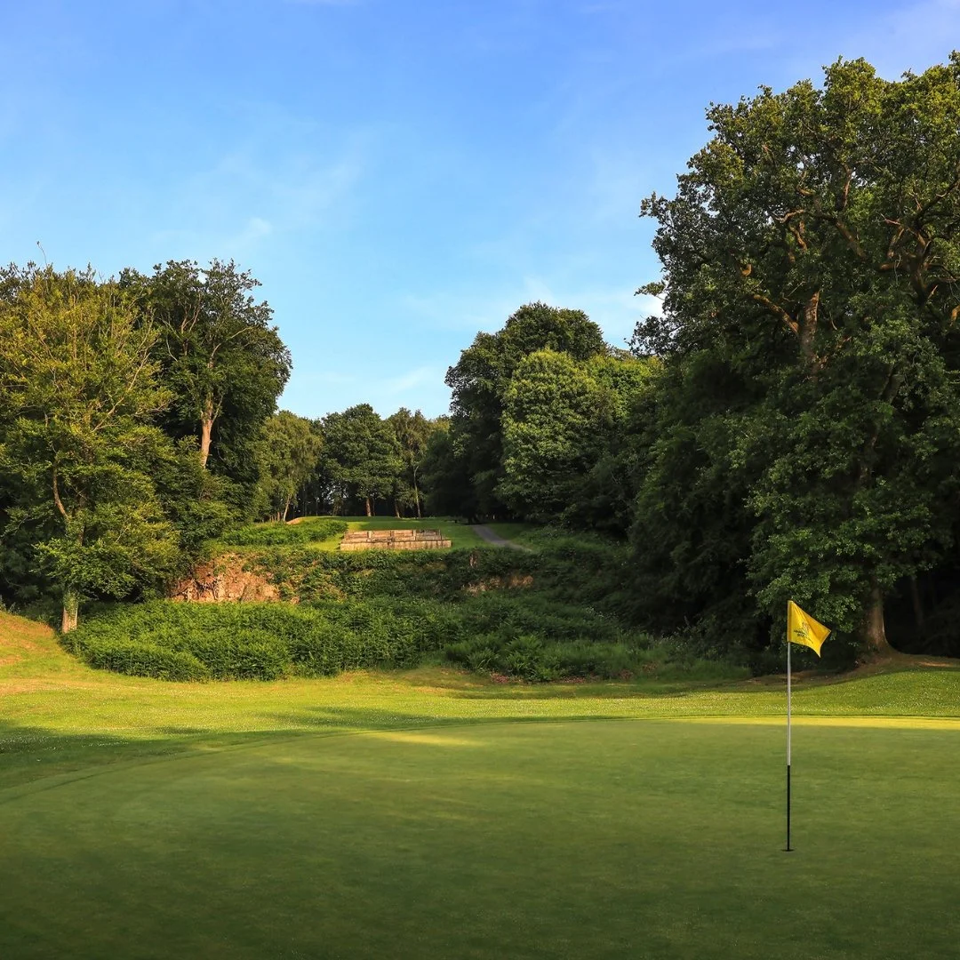 Mannings Heath .jpg